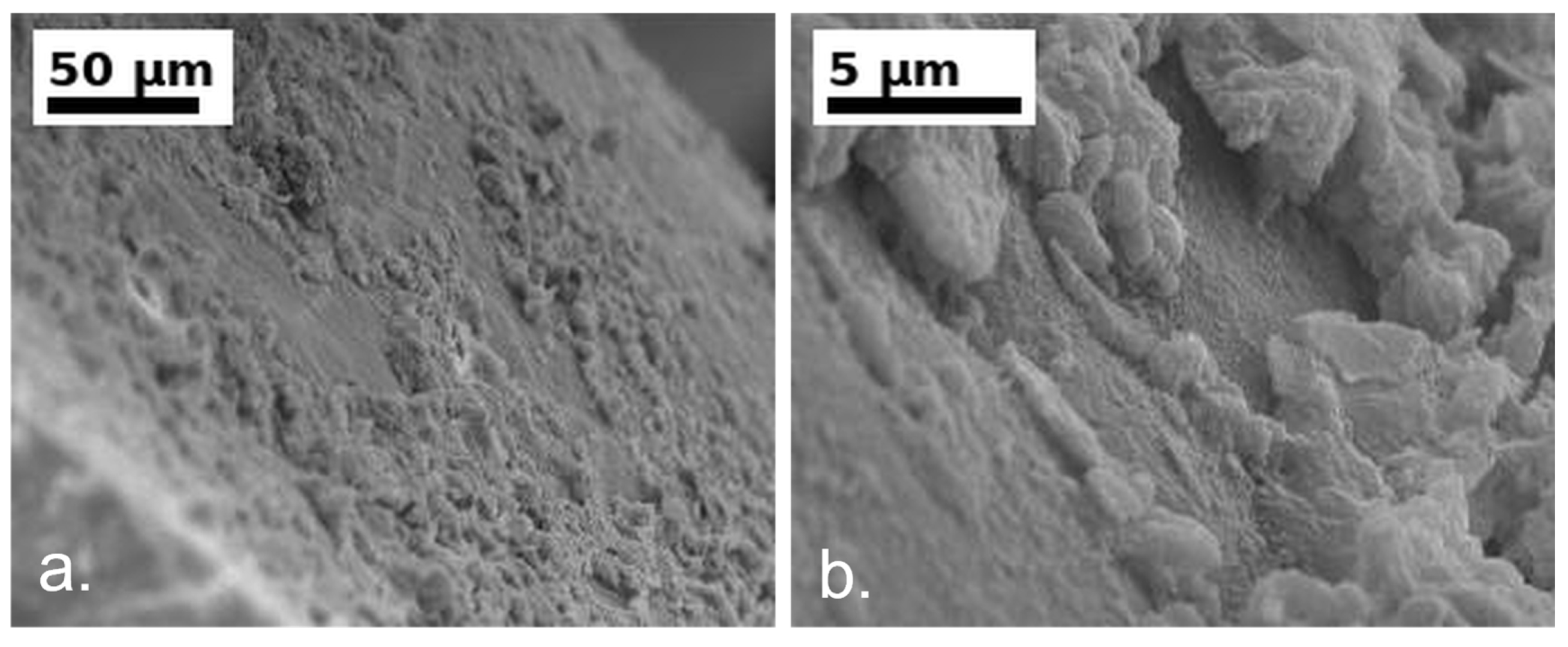Materials 19 02550 g004 Materials 19 02550 g004