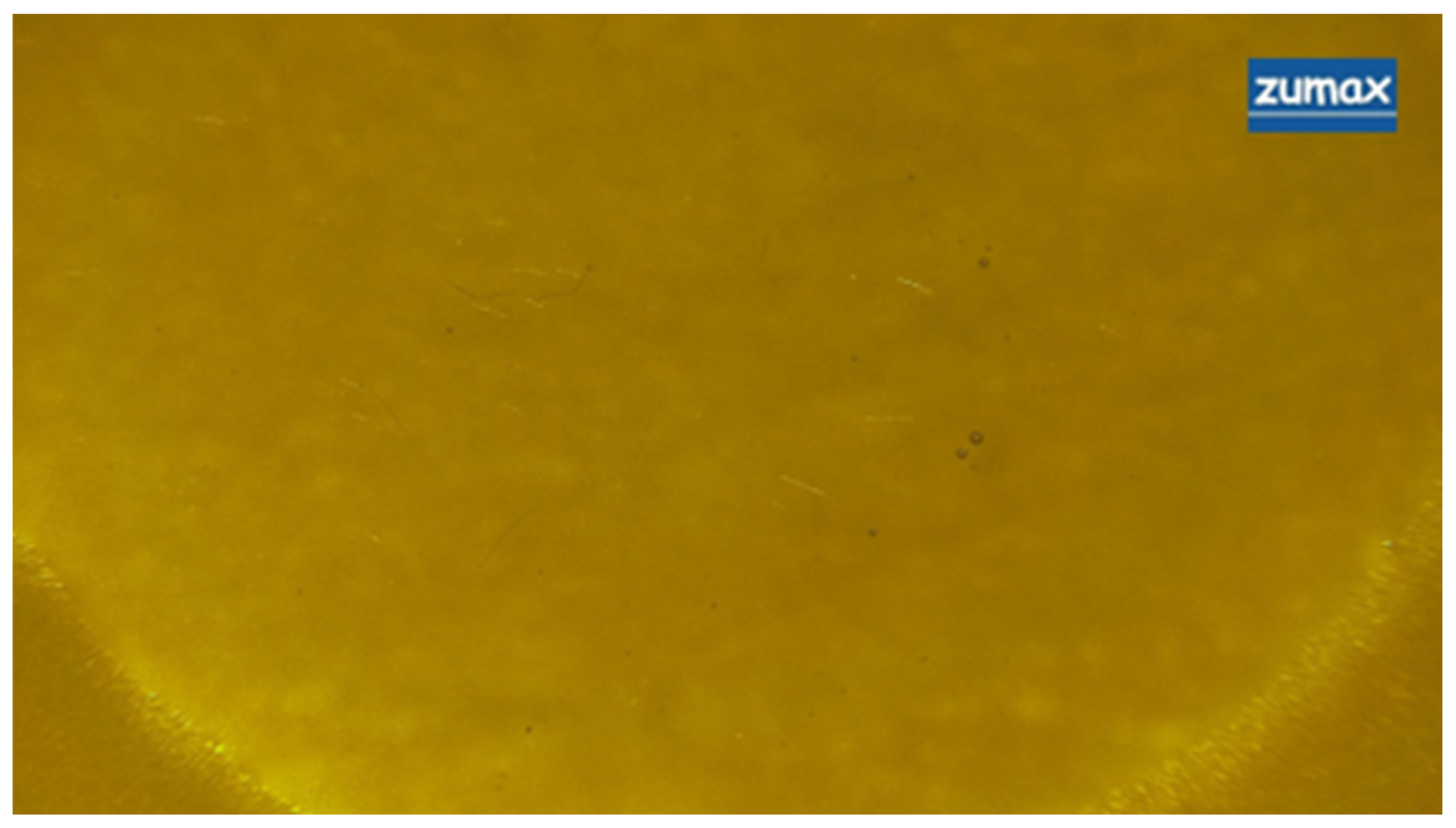 Materials 19 02562 g004