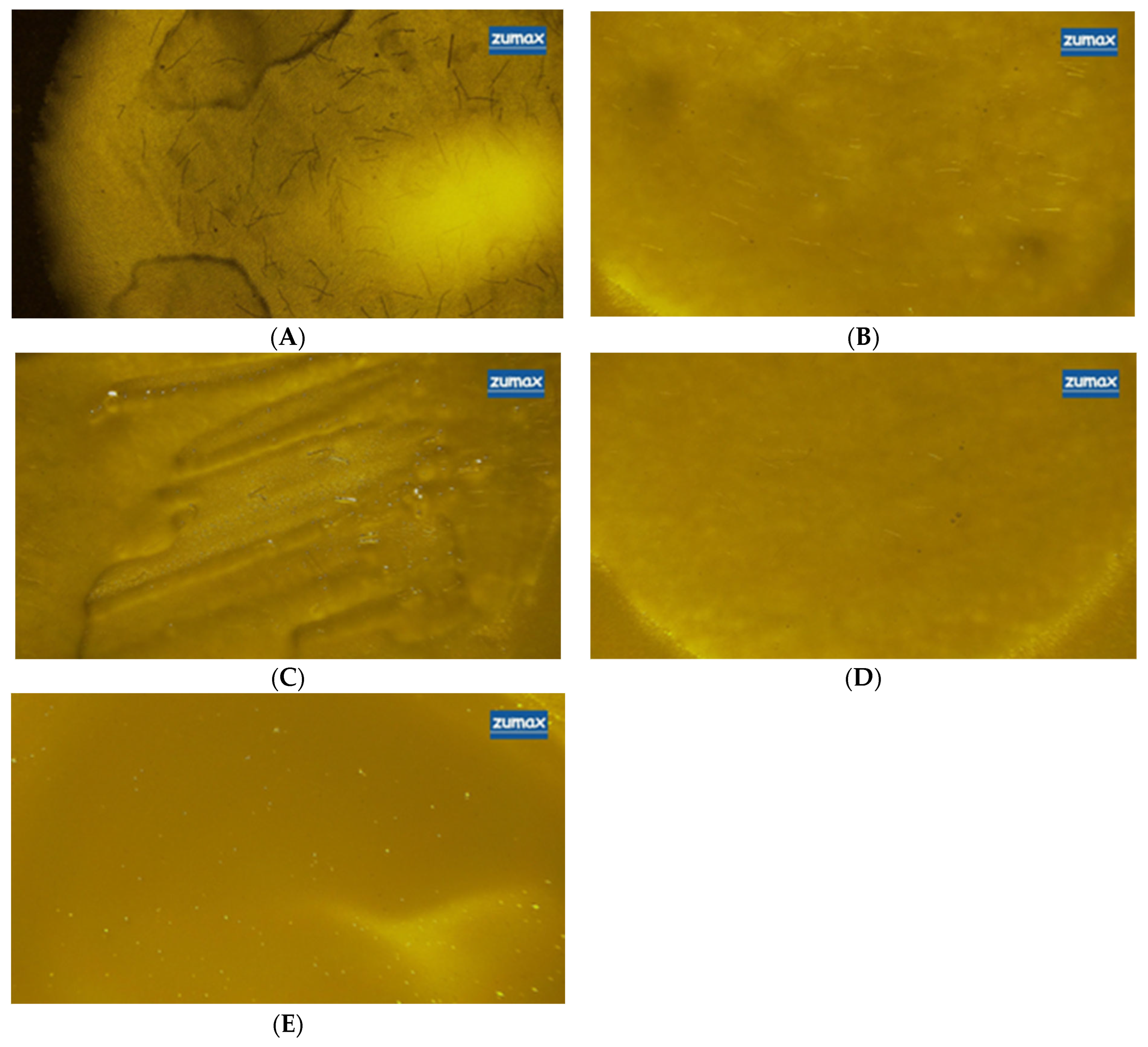 Materials 19 02562 g006