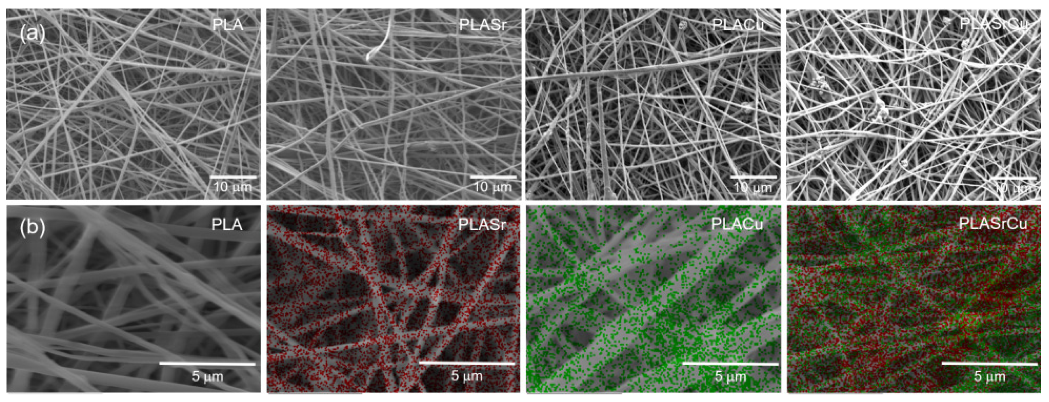Materials 19 02982 g003 Materials 19 02982 g003