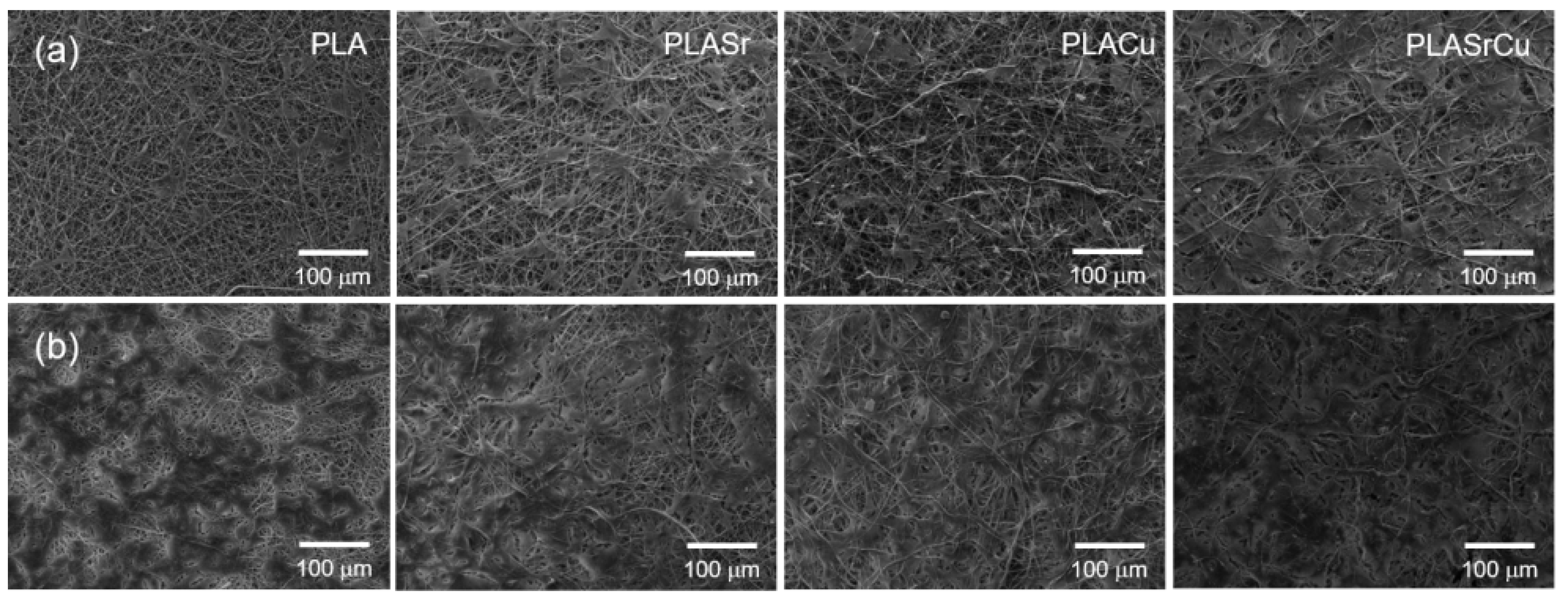 Materials 19 02982 g006 Materials 19 02982 g006