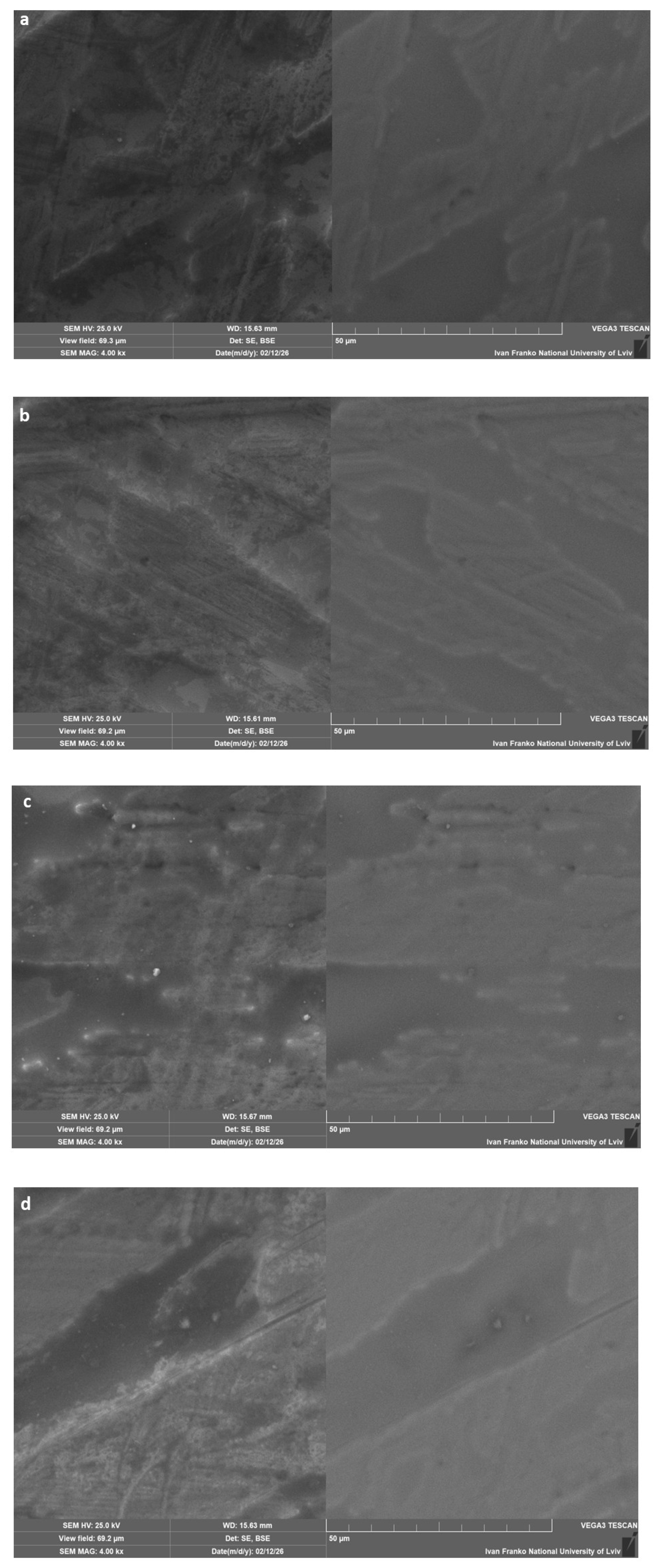 Materials 19 03194 g010 Materials 19 03194 g010