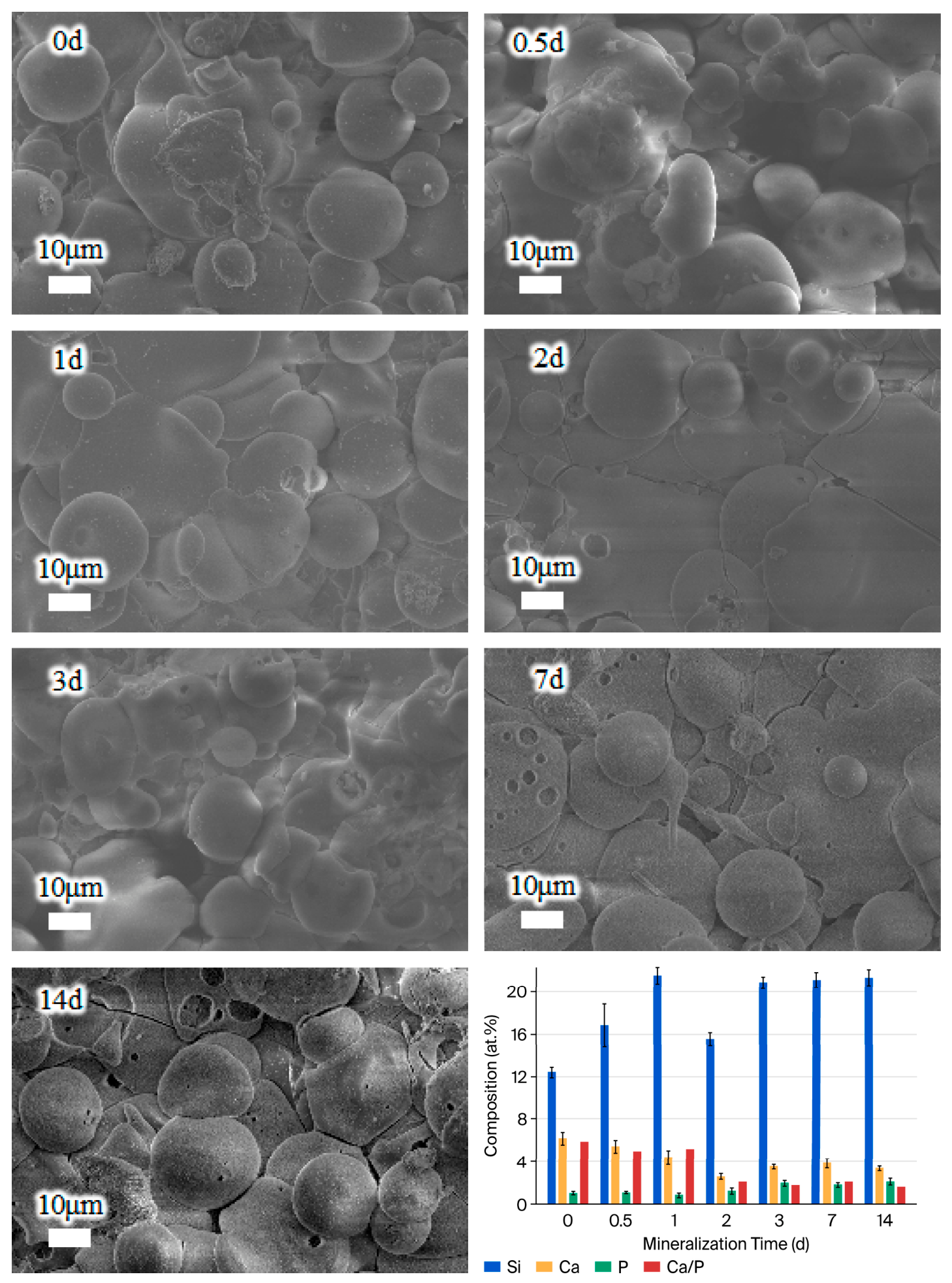 Materials 19 03596 g007