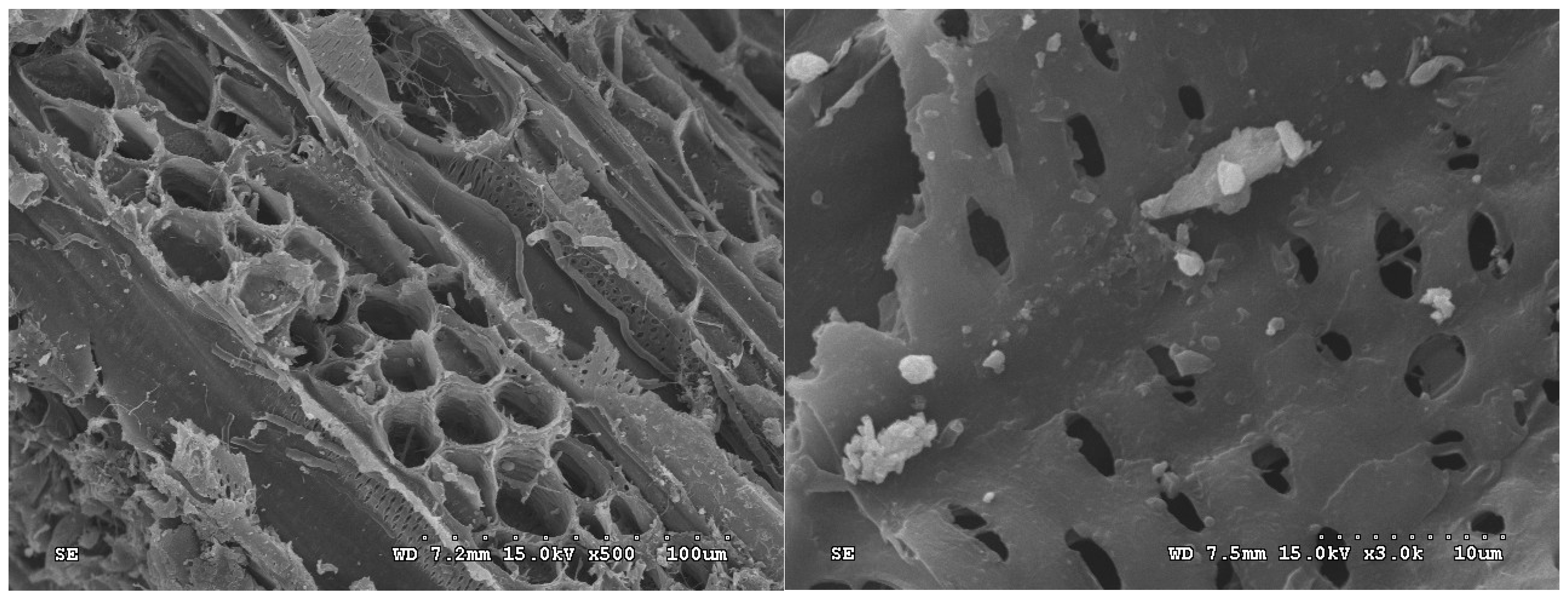 Materials 19 03629 g005 Materials 19 03629 g005