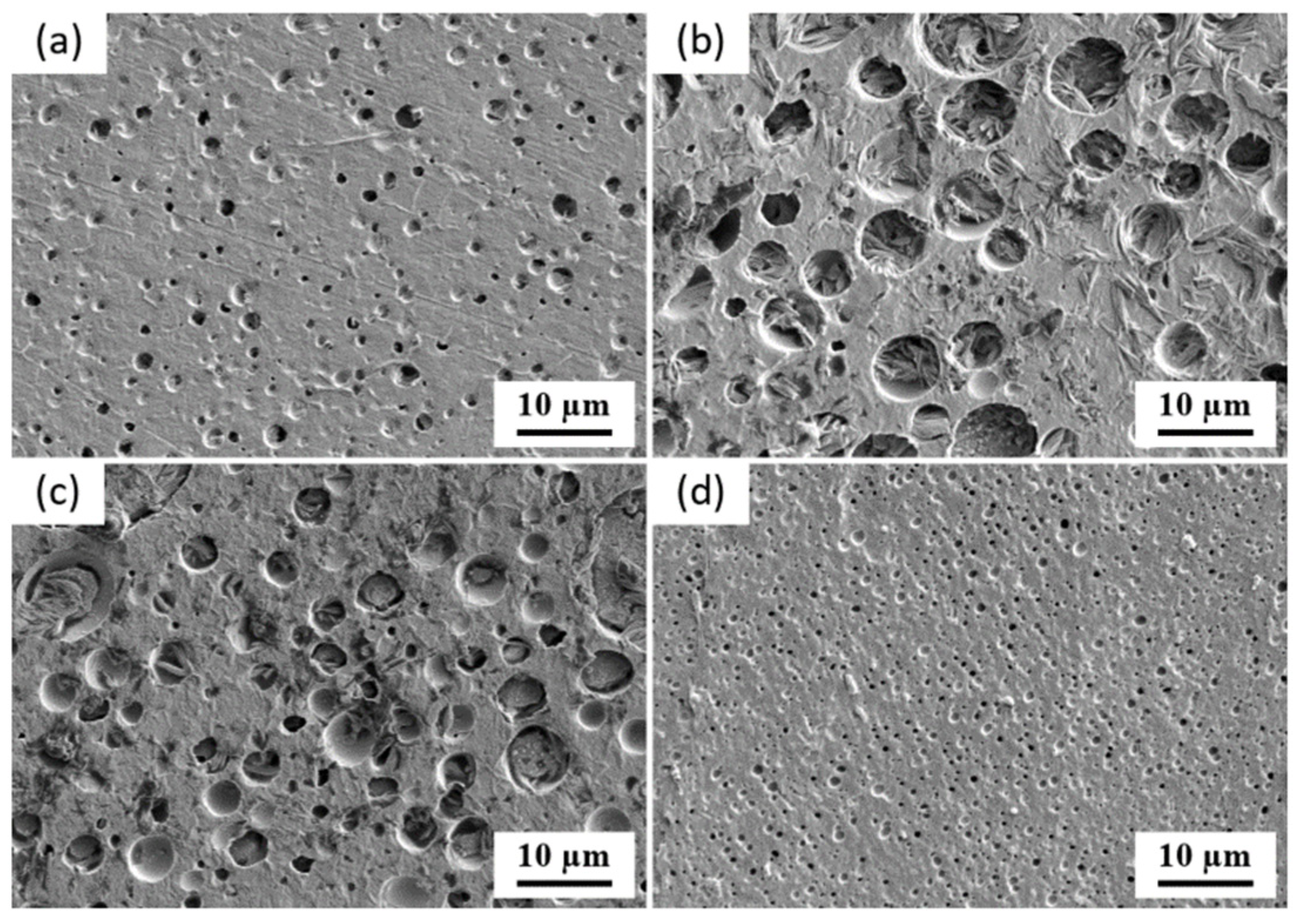 Materials 19 03783 g002 Materials 19 03783 g002