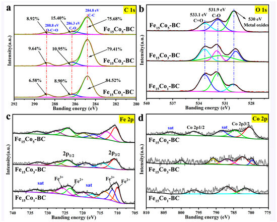 Synthesis of Fe-Co Bimetallic Supported on Cotton Residue Biochar