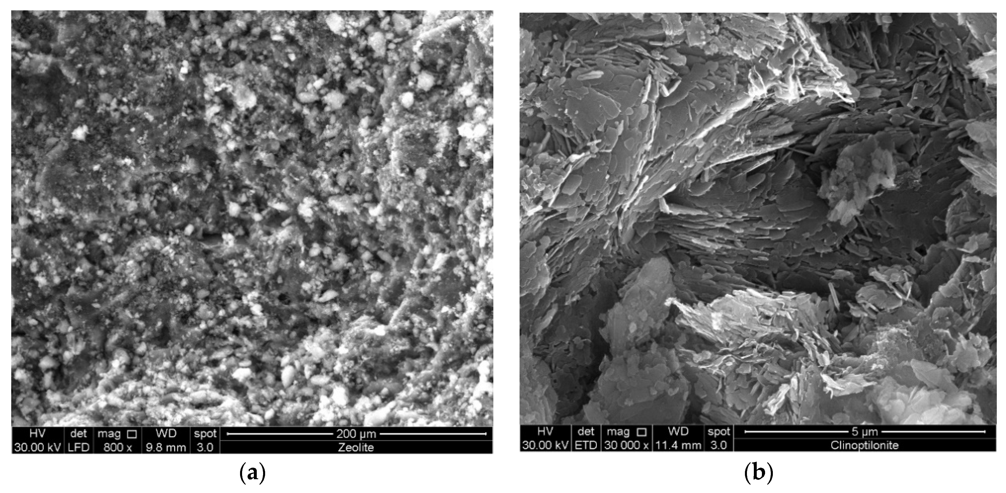 Materproc 02 00015 g001 550