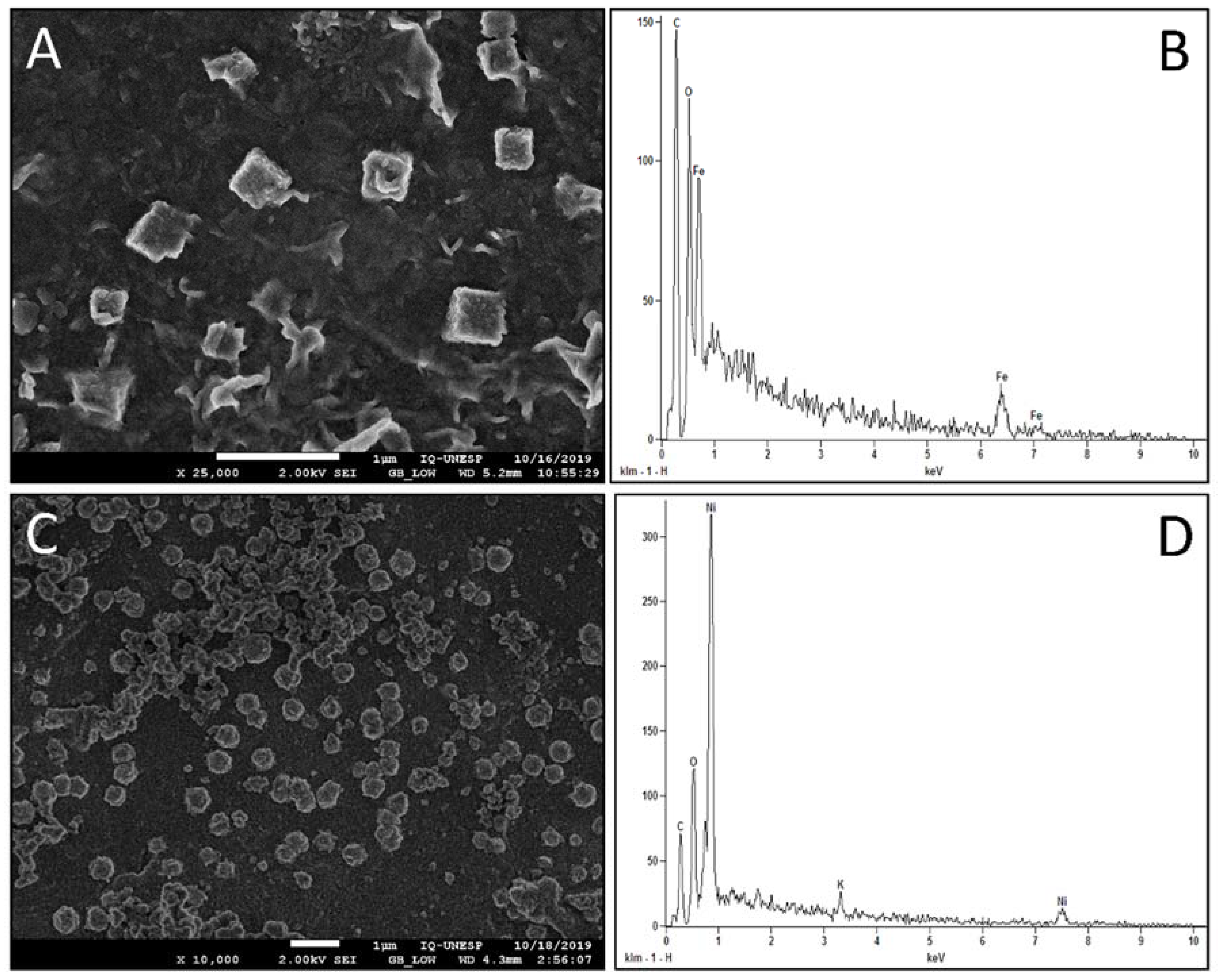 Materproc 02 00017 g001