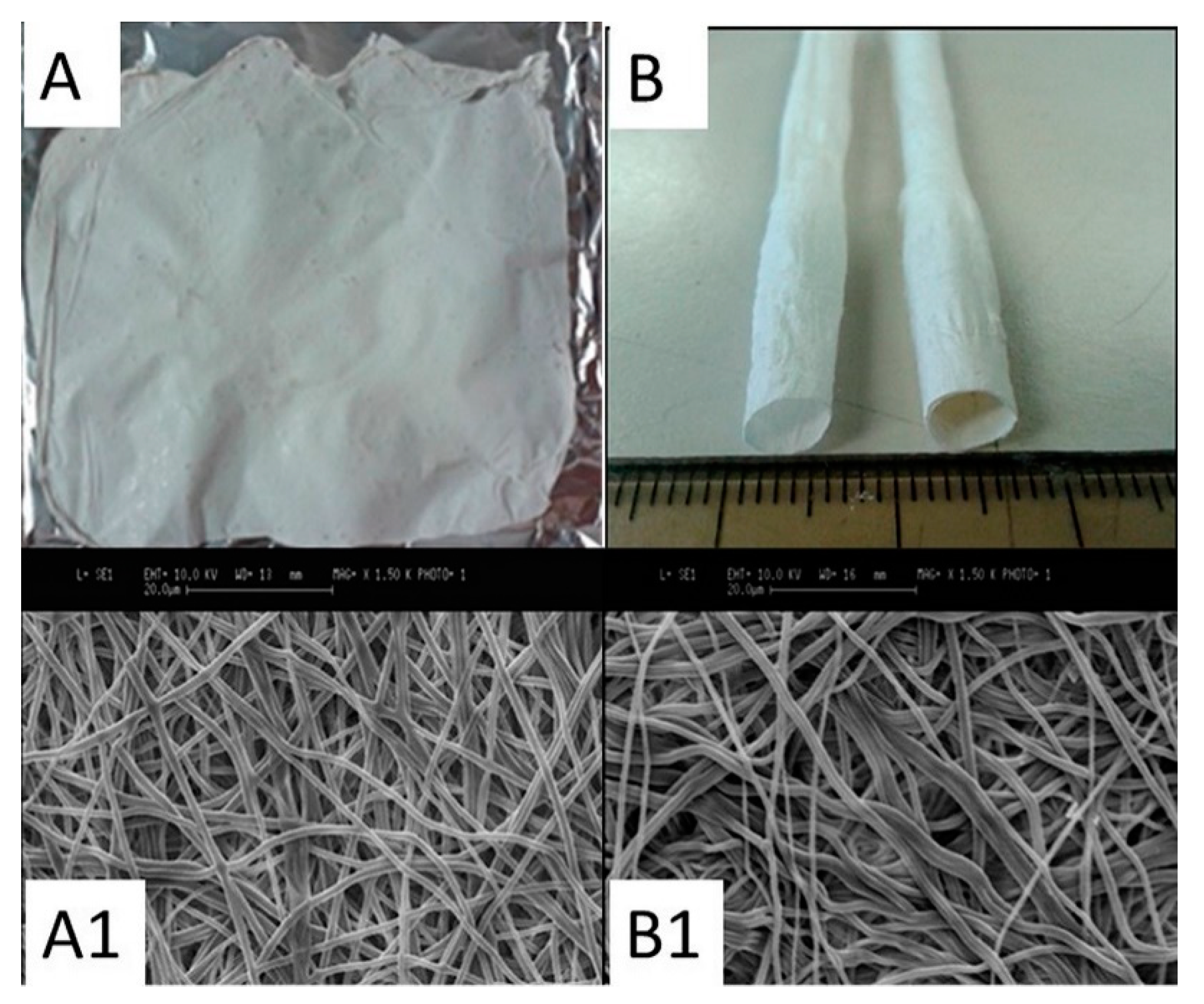 Materproc 02 00020 g001 550