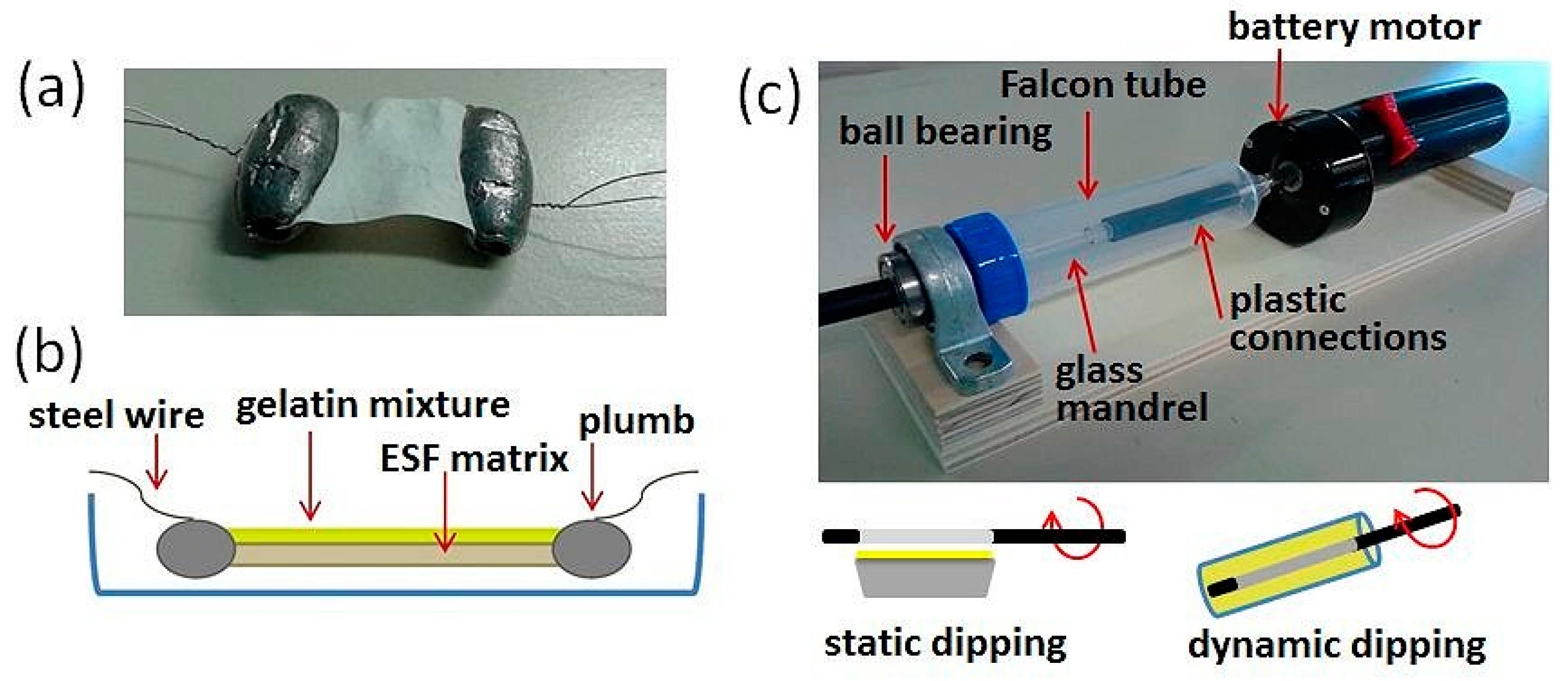 Materproc 02 00020 g002 550