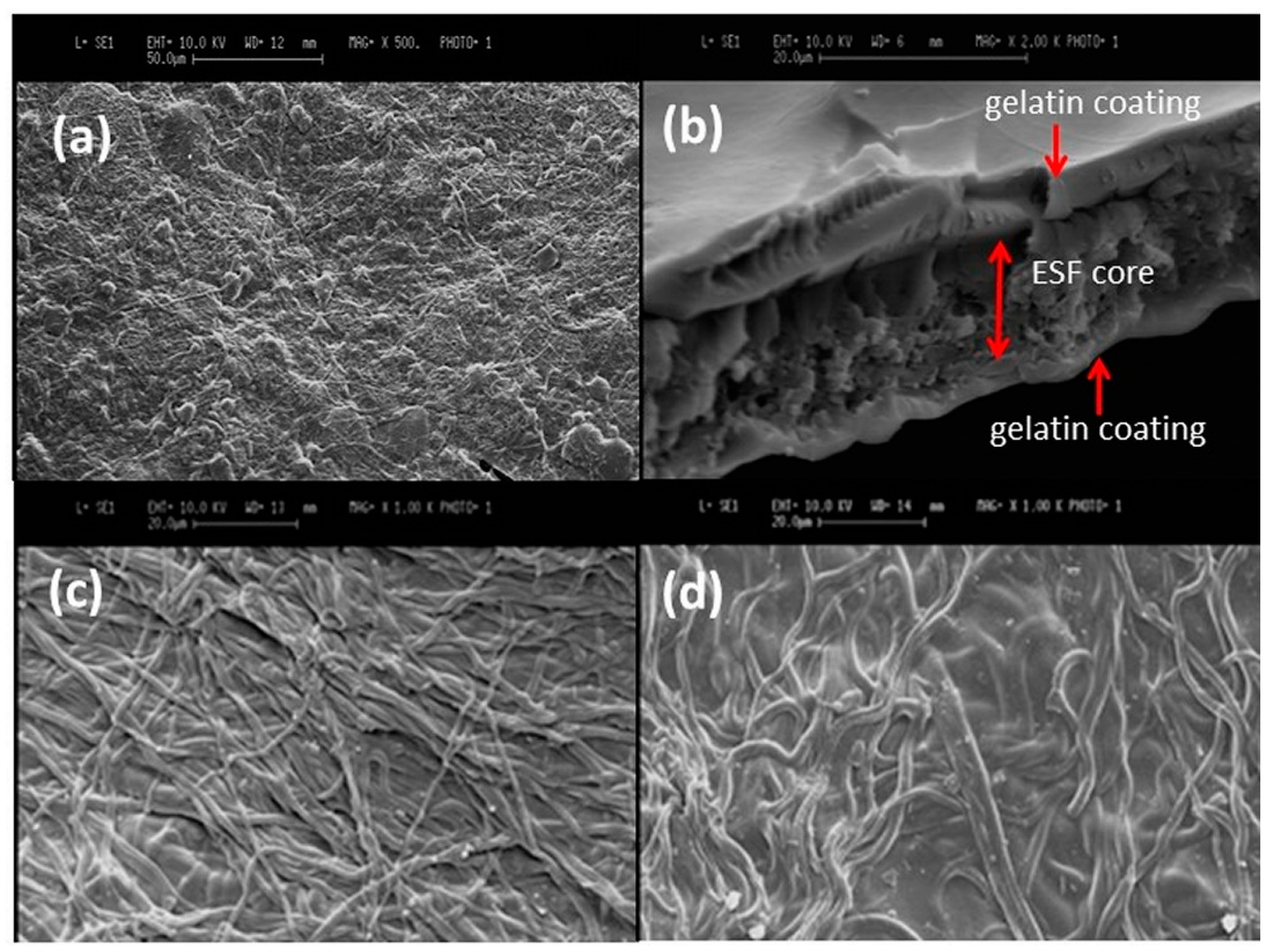Materproc 02 00020 g003 550
