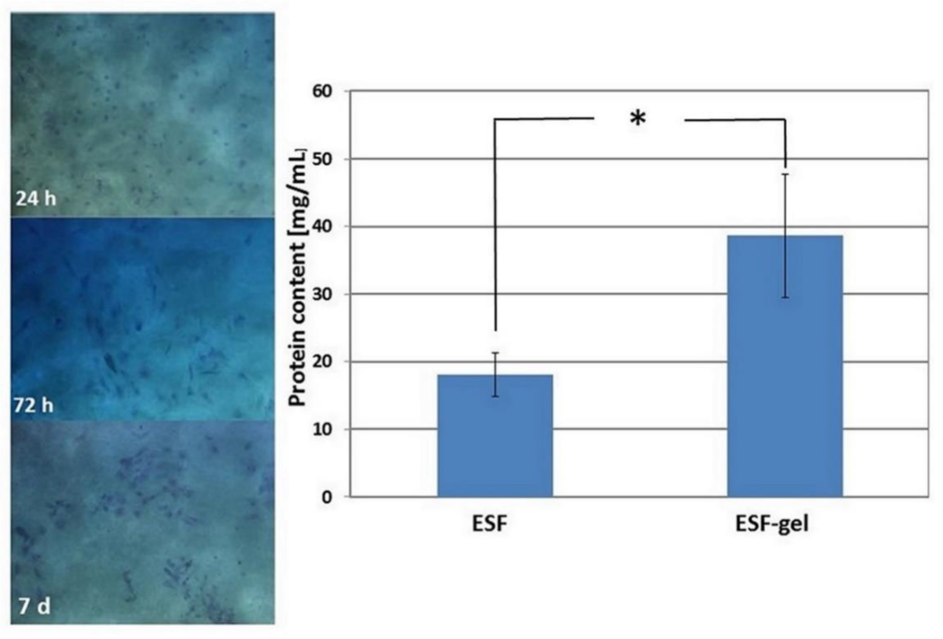 Materproc 02 00020 g007 550
