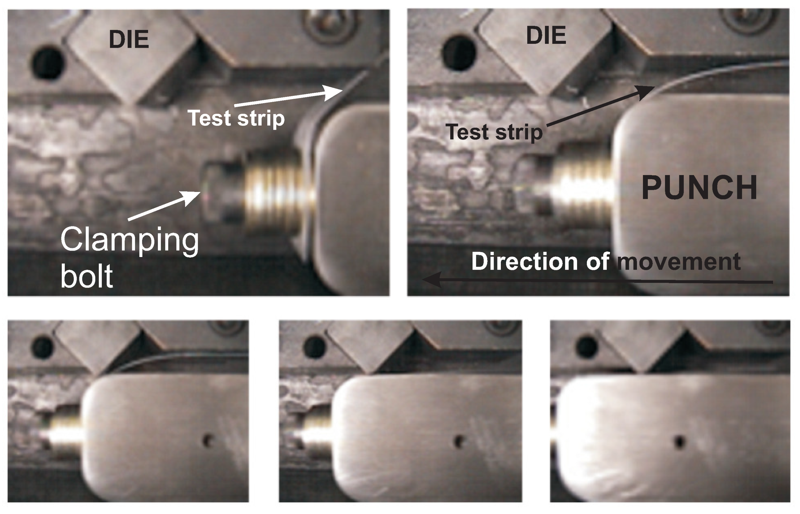 Materproc 02 00021 g003 550