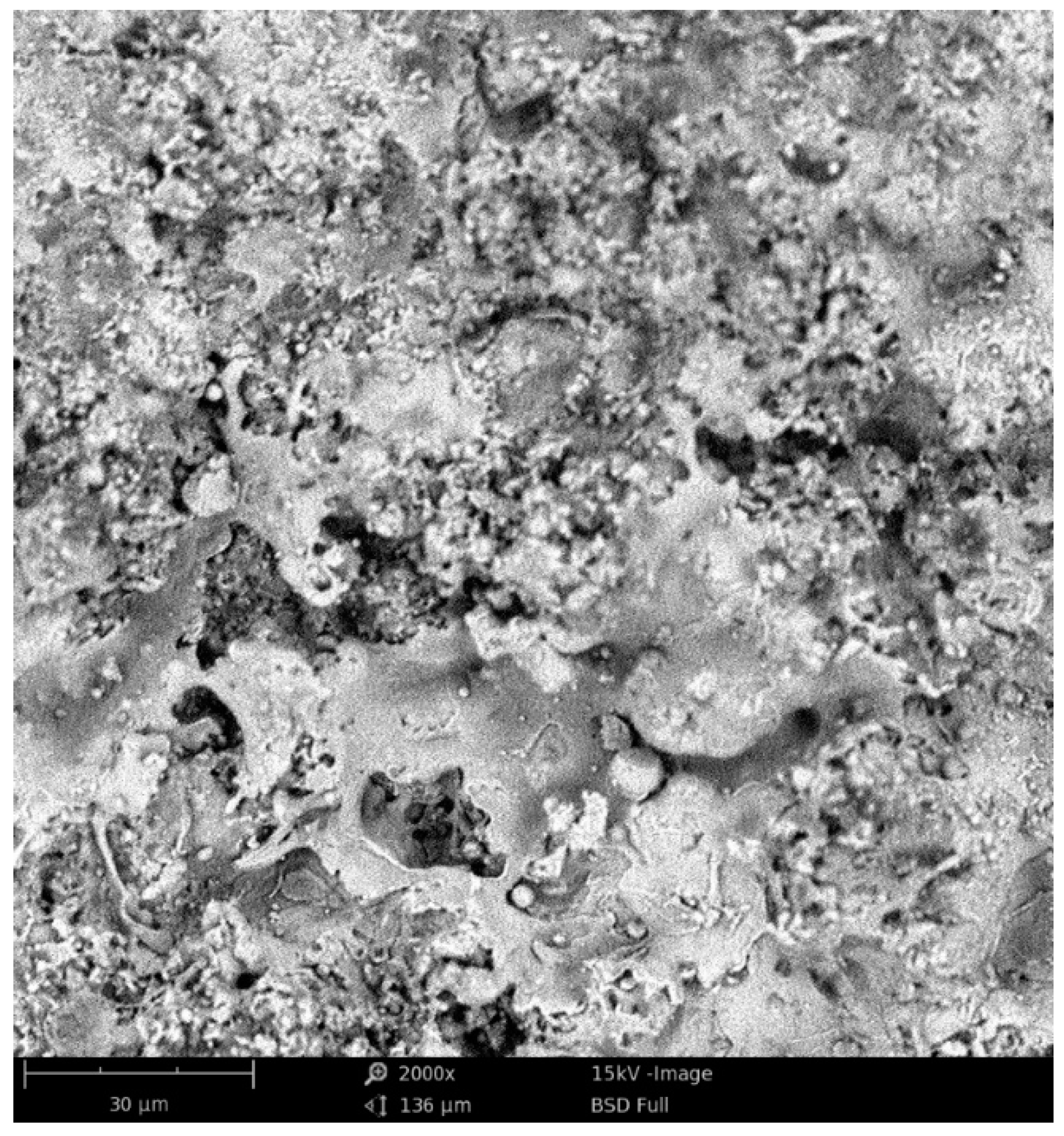 Materproc 02 00025 g001 Materproc 02 00025 g001