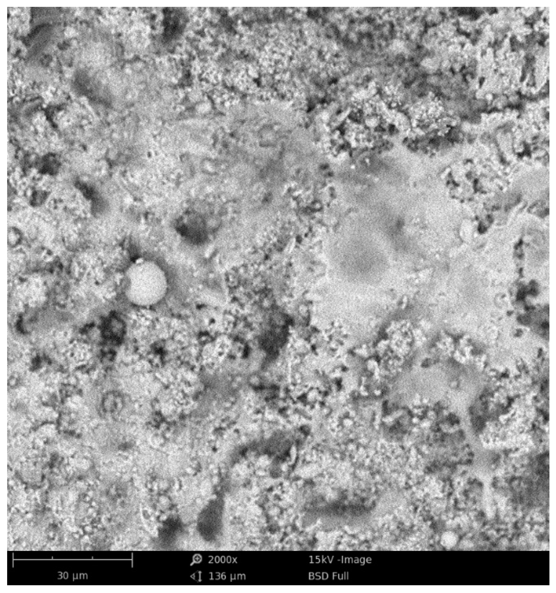 Materproc 02 00025 g002 Materproc 02 00025 g002