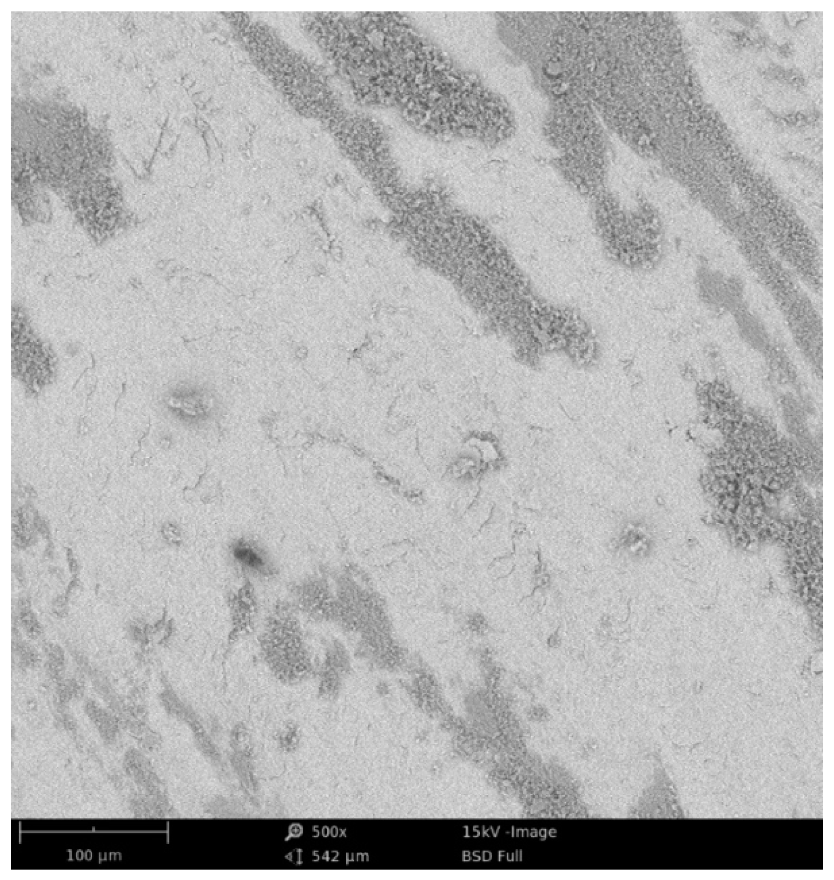 Materproc 02 00025 g005 Materproc 02 00025 g005