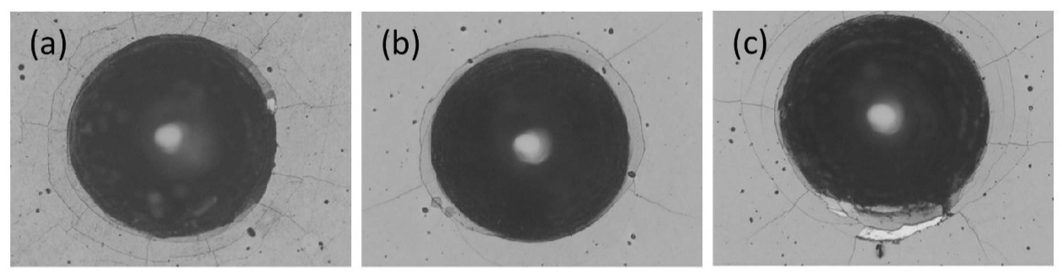 Materproc 02 00028 g003 550