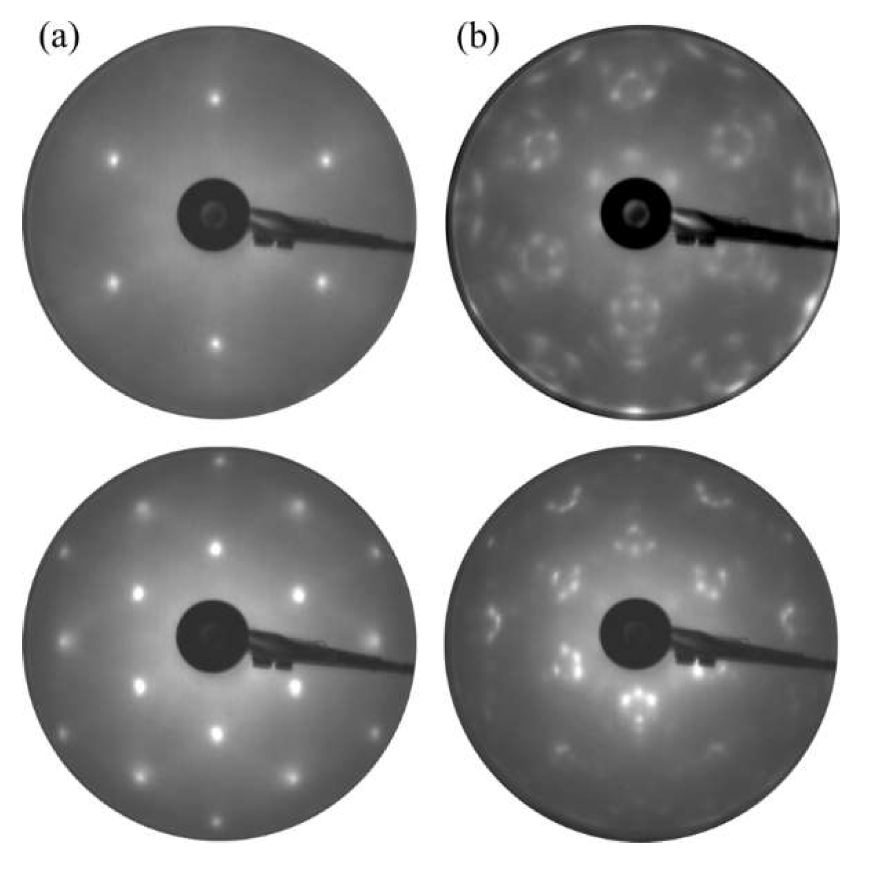 Materproc 02 00030 g005