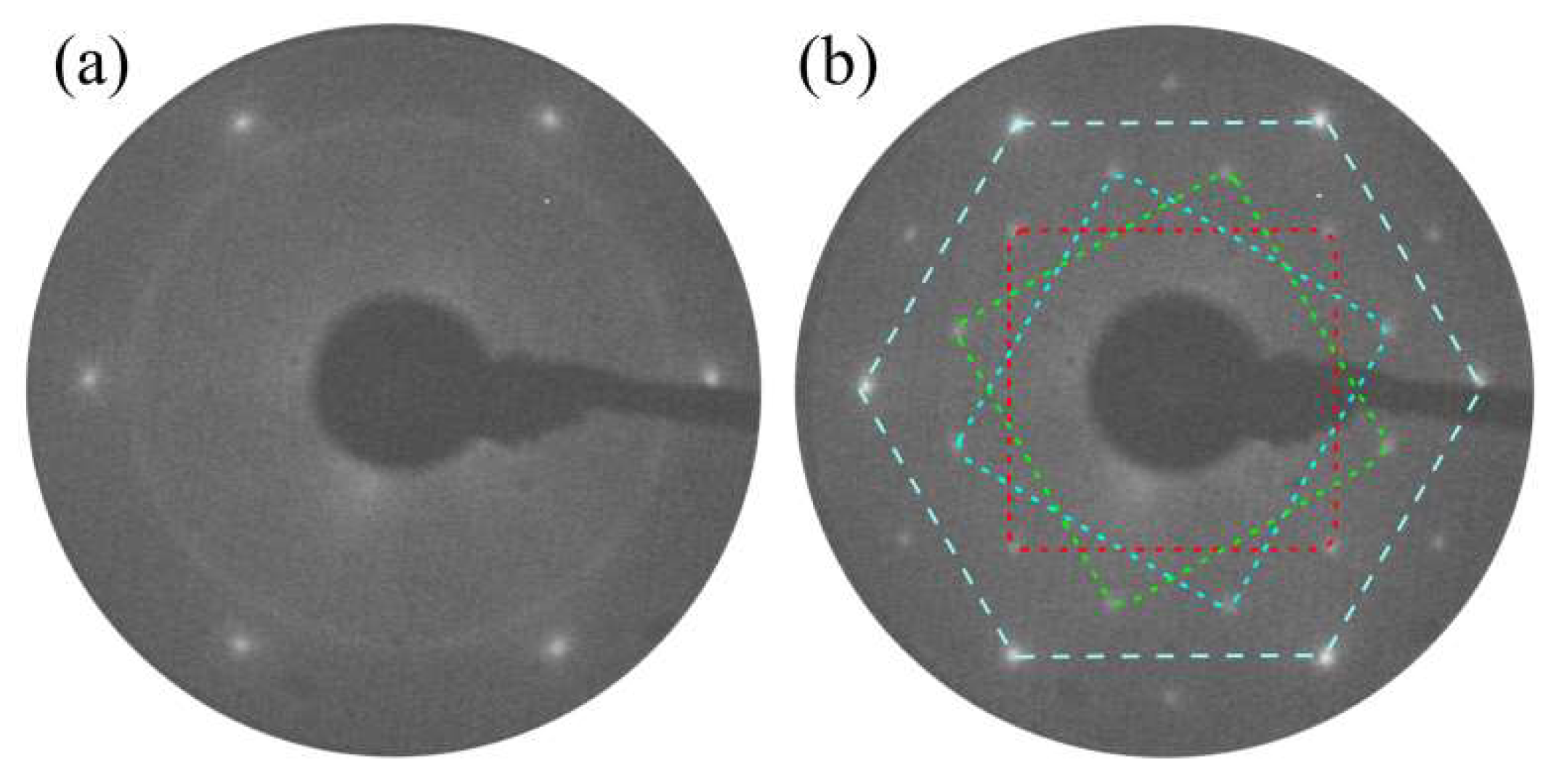 Materproc 02 00030 g010