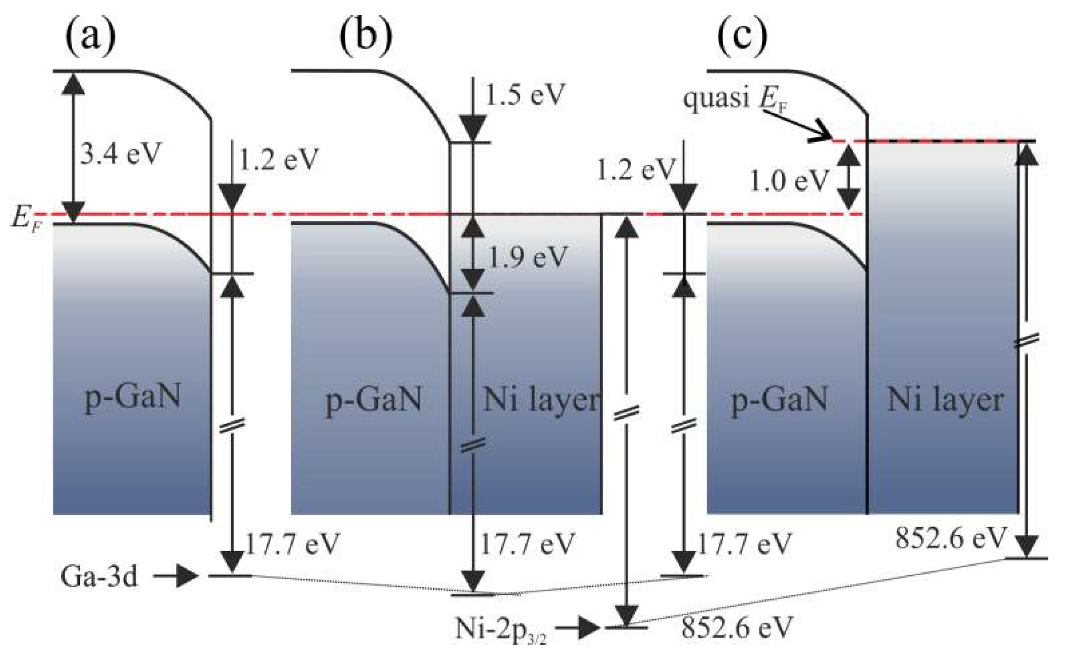 Materproc 02 00030 g021