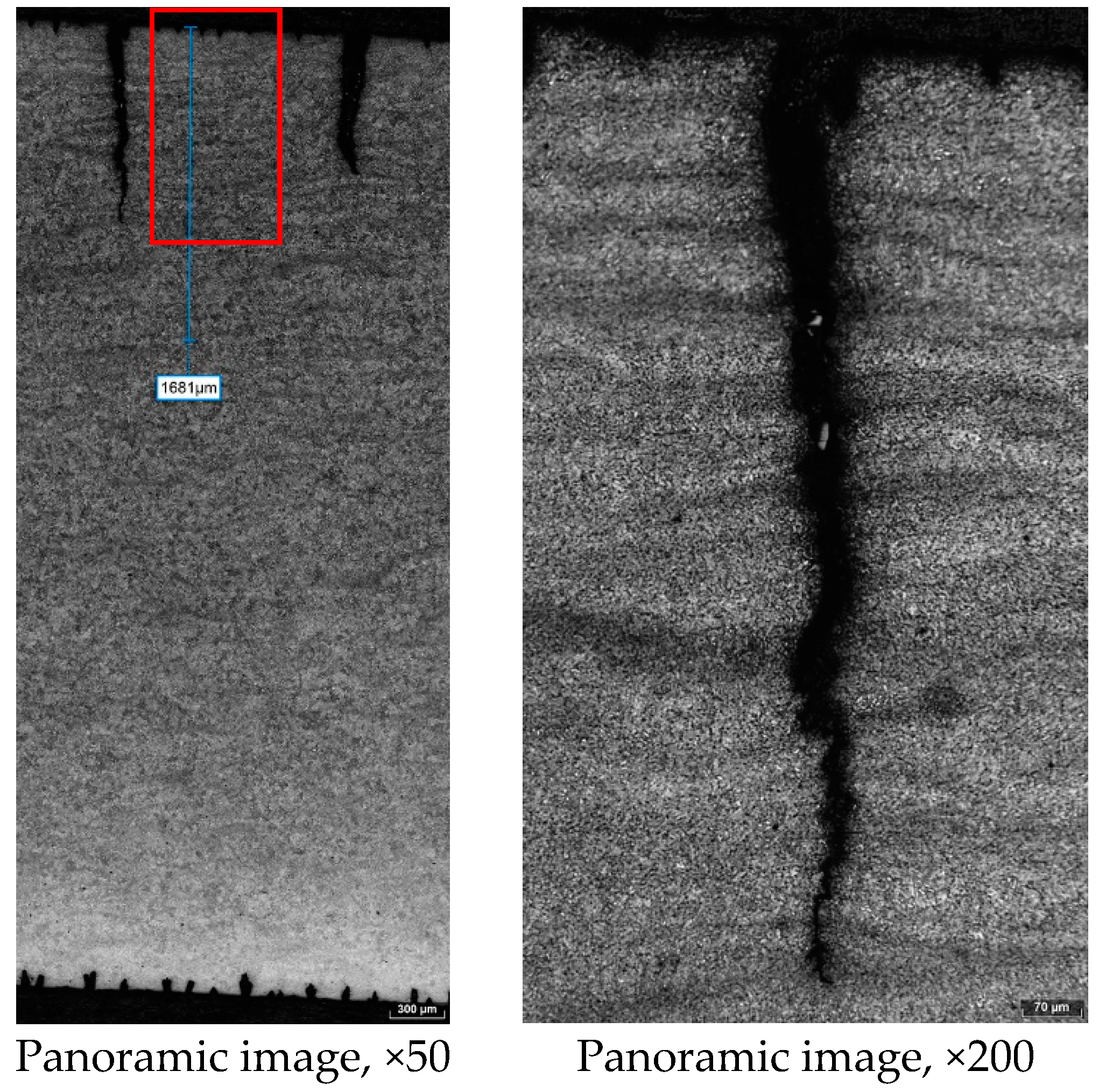 Materproc 03 00005 g004 550