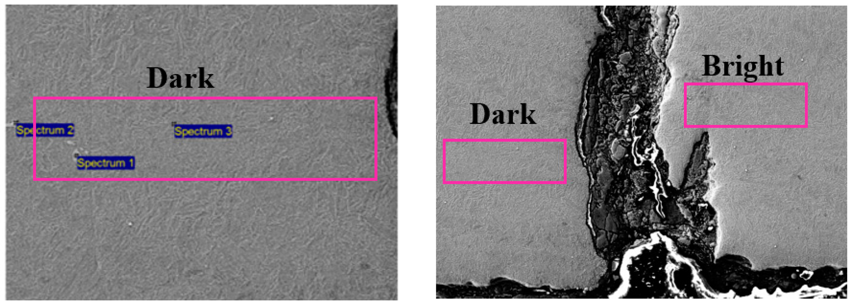 Materproc 03 00005 g009 550