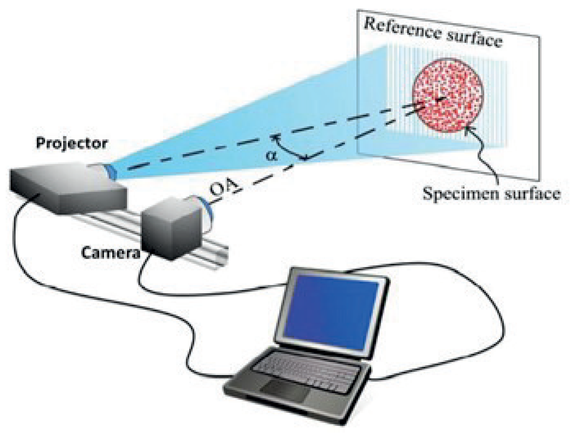 Materproc 03 00010 g002