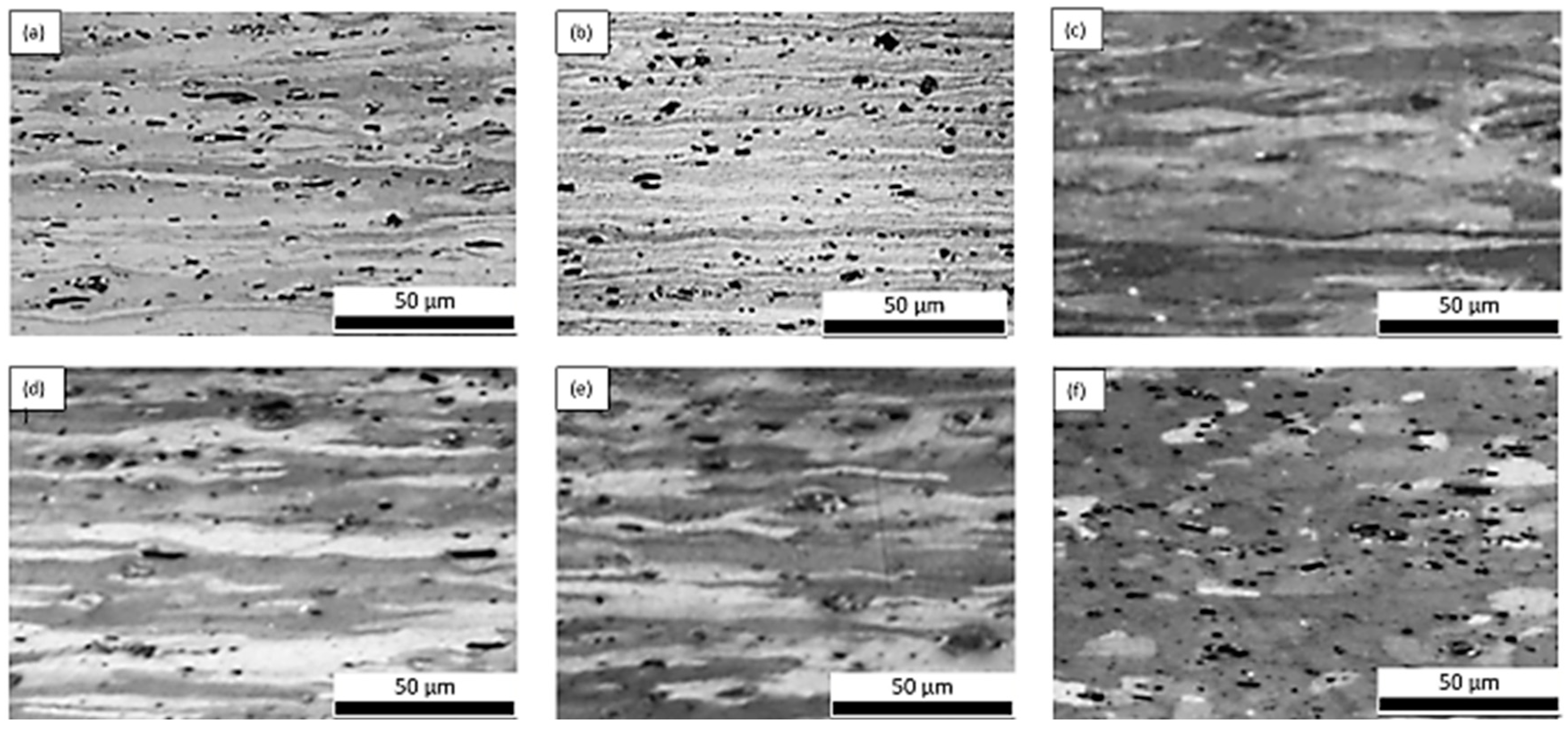 Materproc 03 00011 g001 550