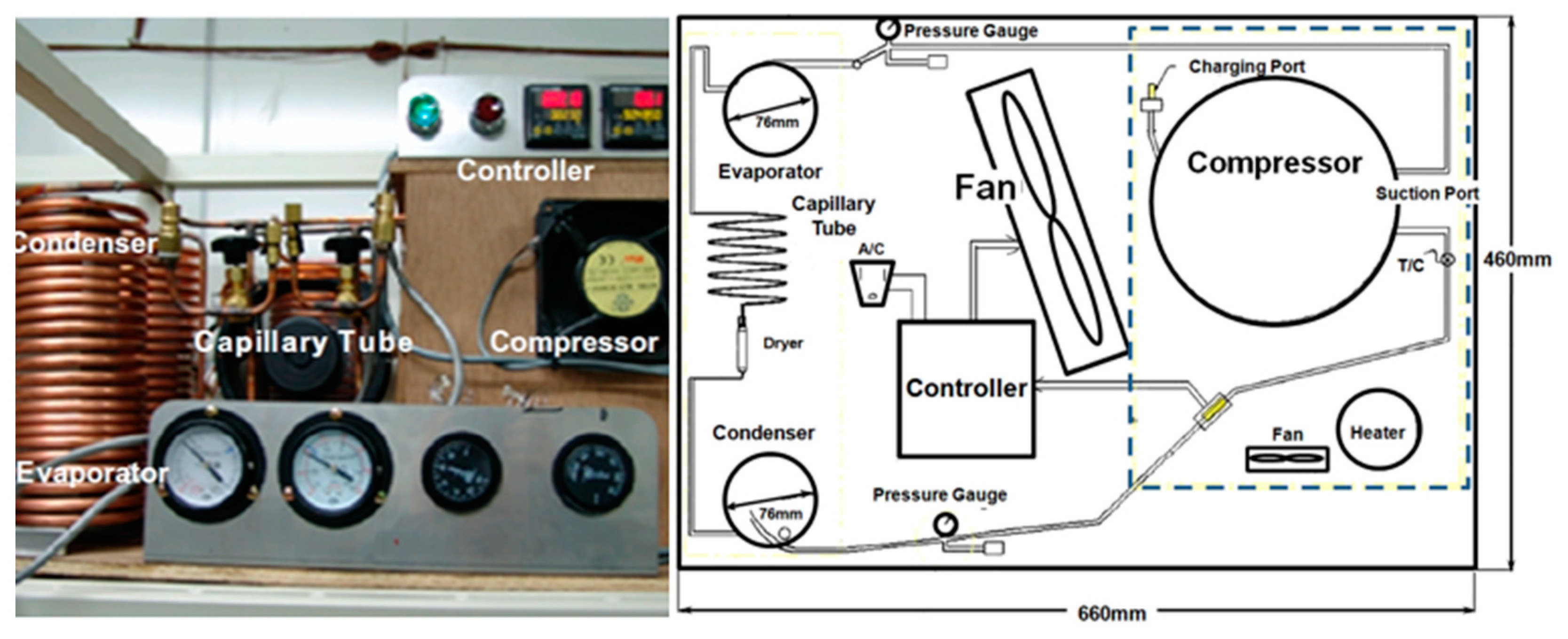 Materproc 03 00014 g008