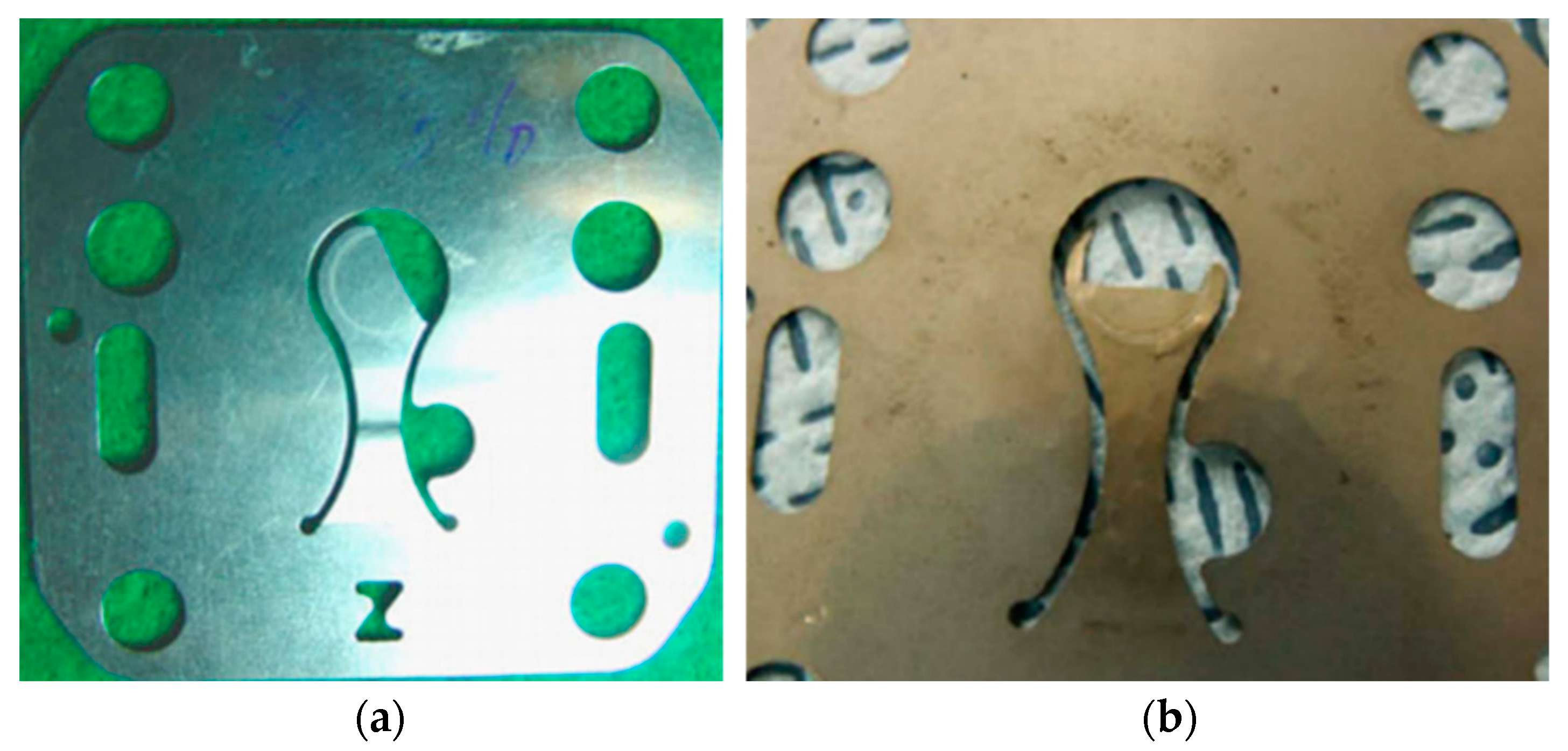 Materproc 03 00014 g009