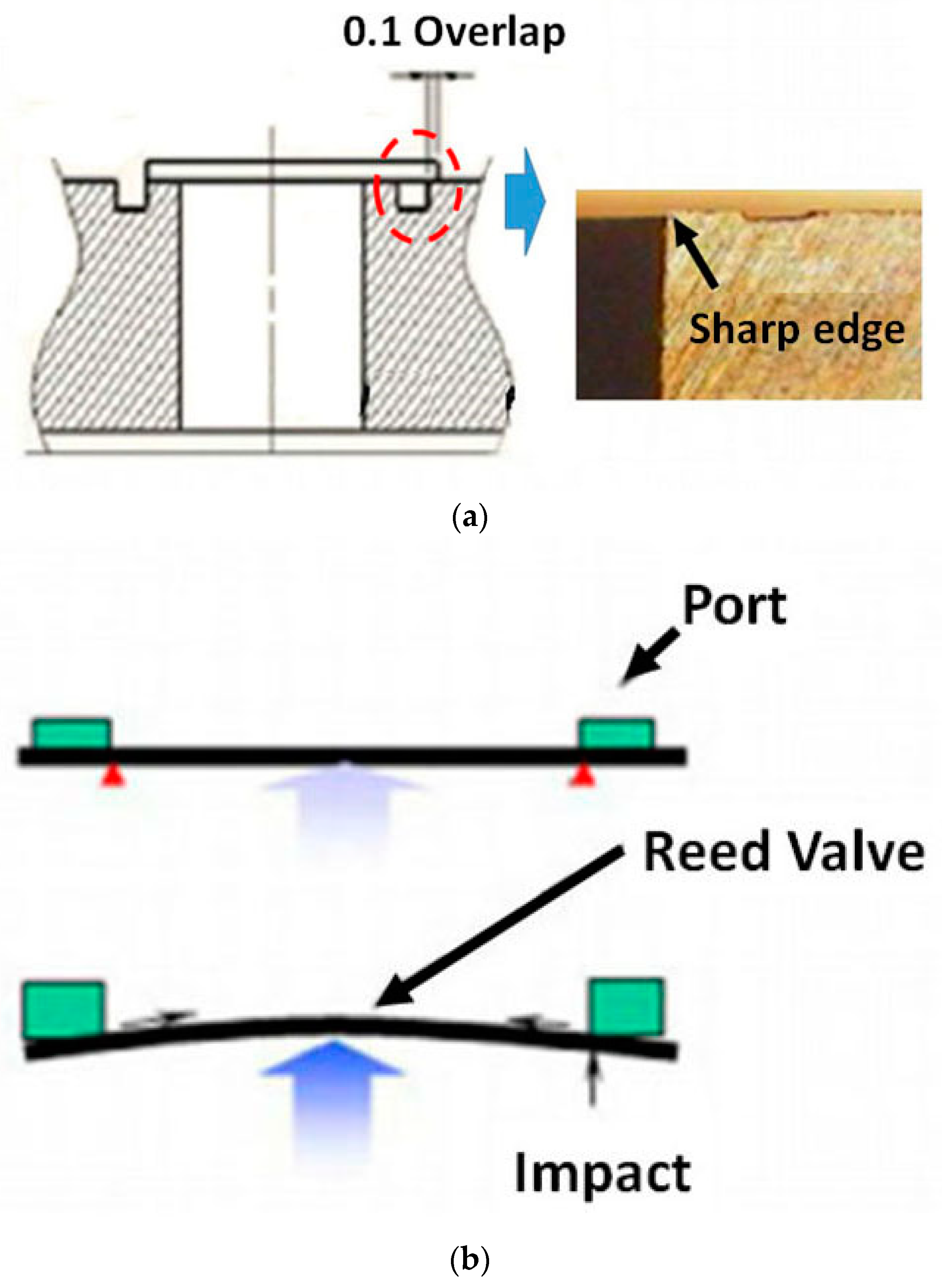 Materproc 03 00014 g011