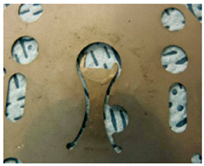 Materproc 03 00014 i001