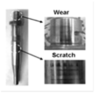 Materproc 03 00014 i002