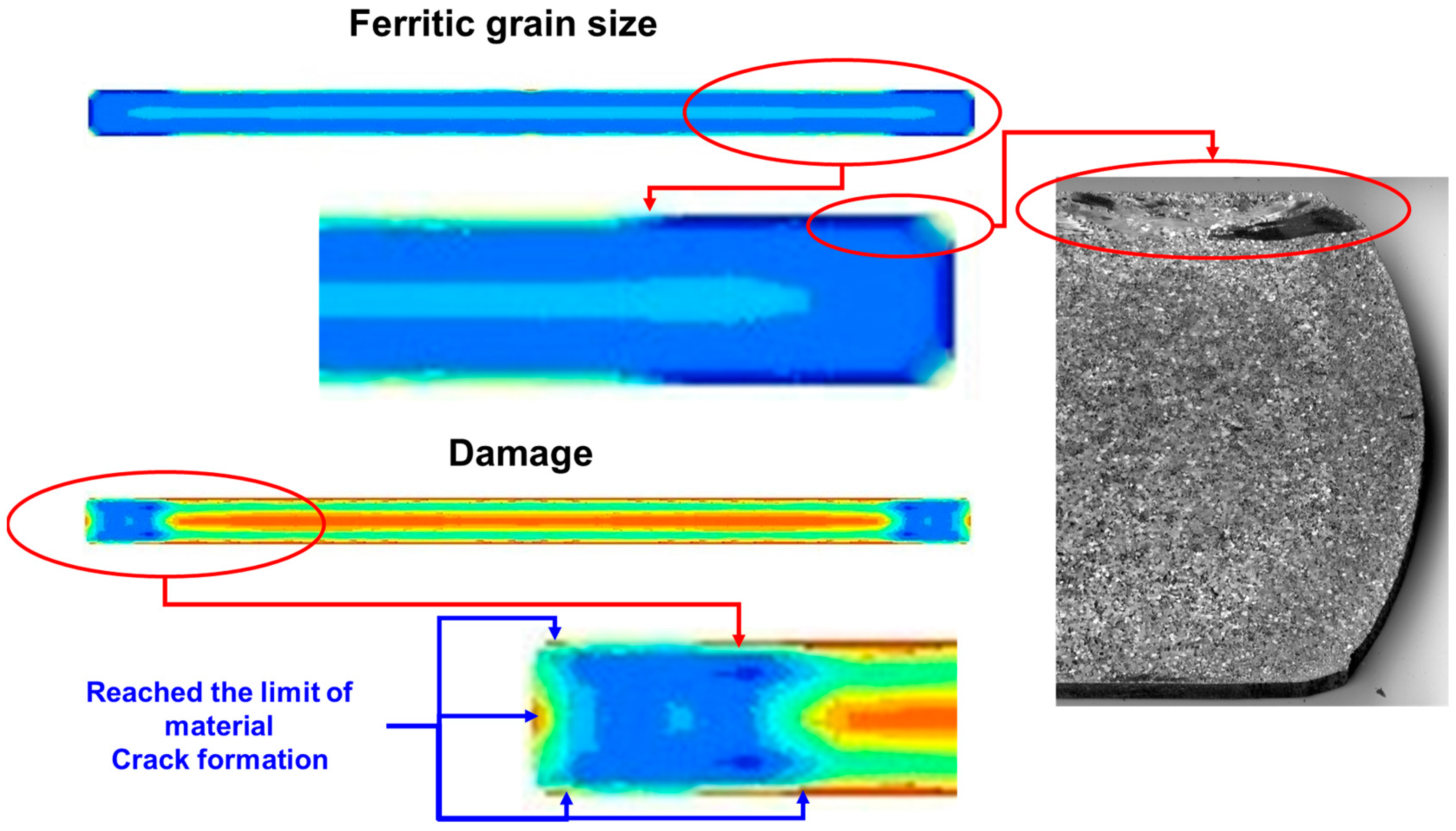 Materproc 03 00022 g005