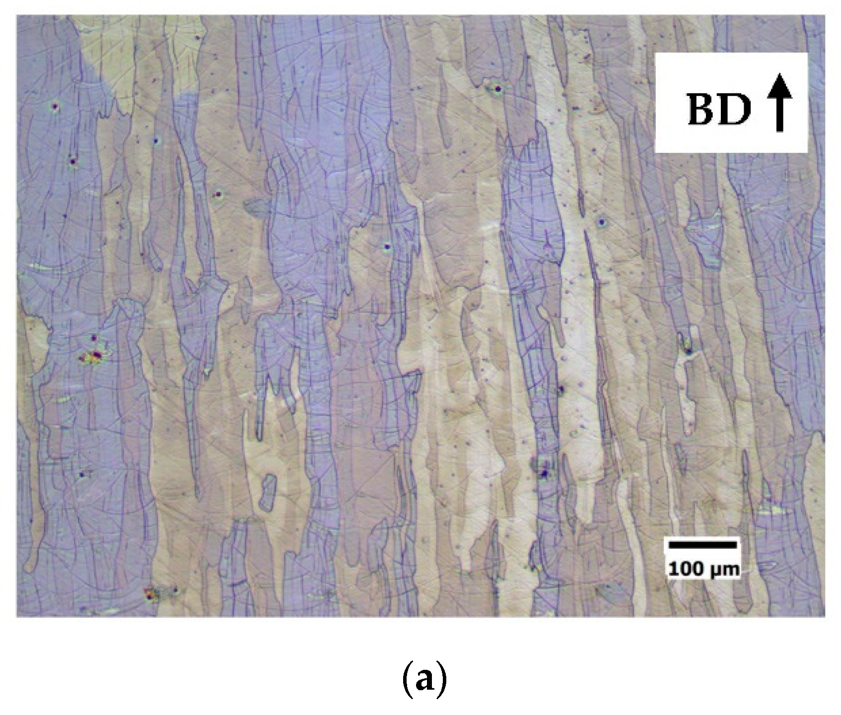 Materproc 03 00028 g004a 550