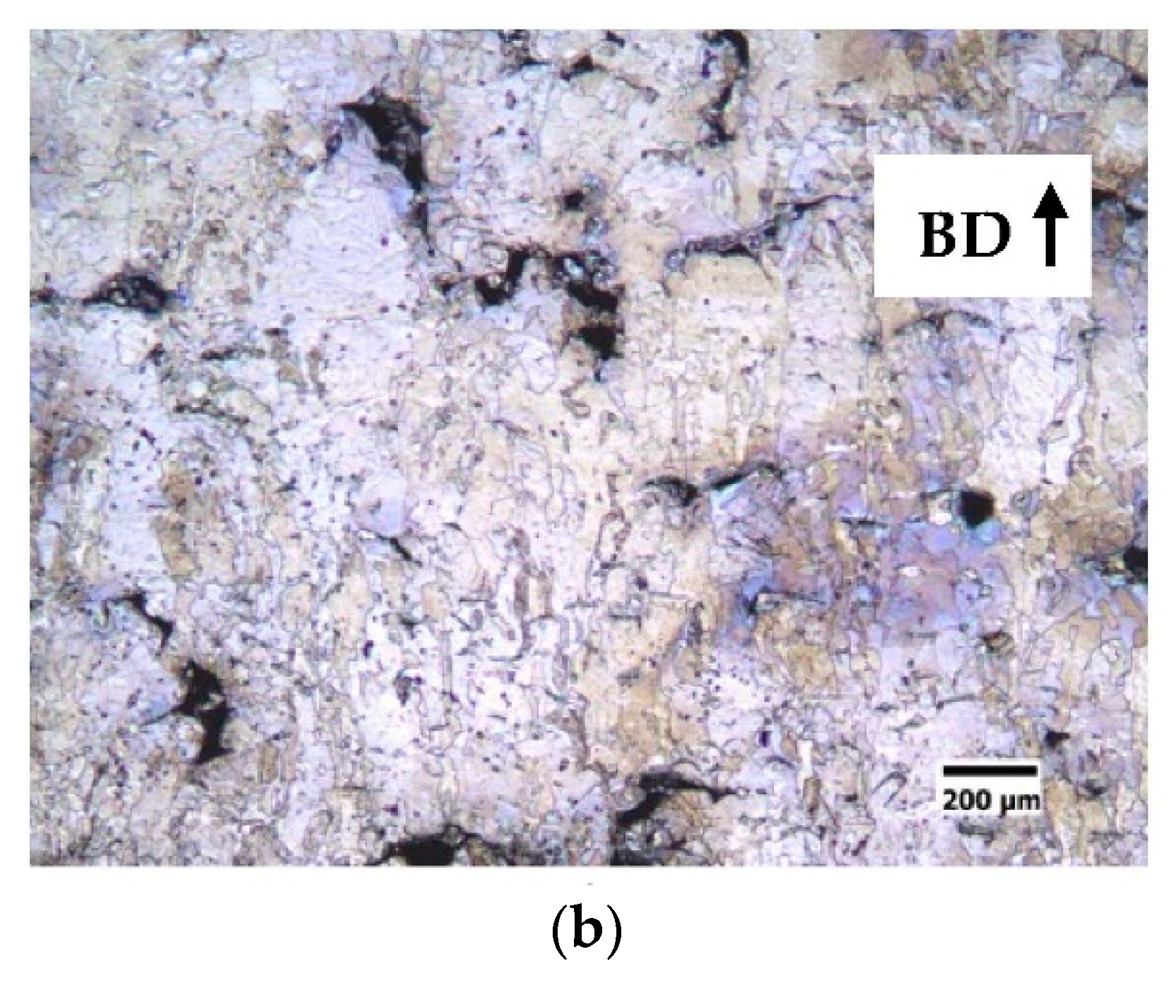 Materproc 03 00028 g004b 550