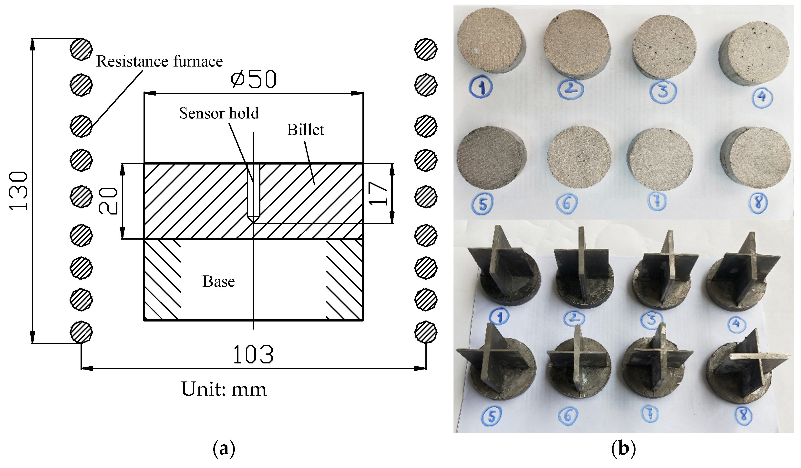 Materproc 03 00029 g003