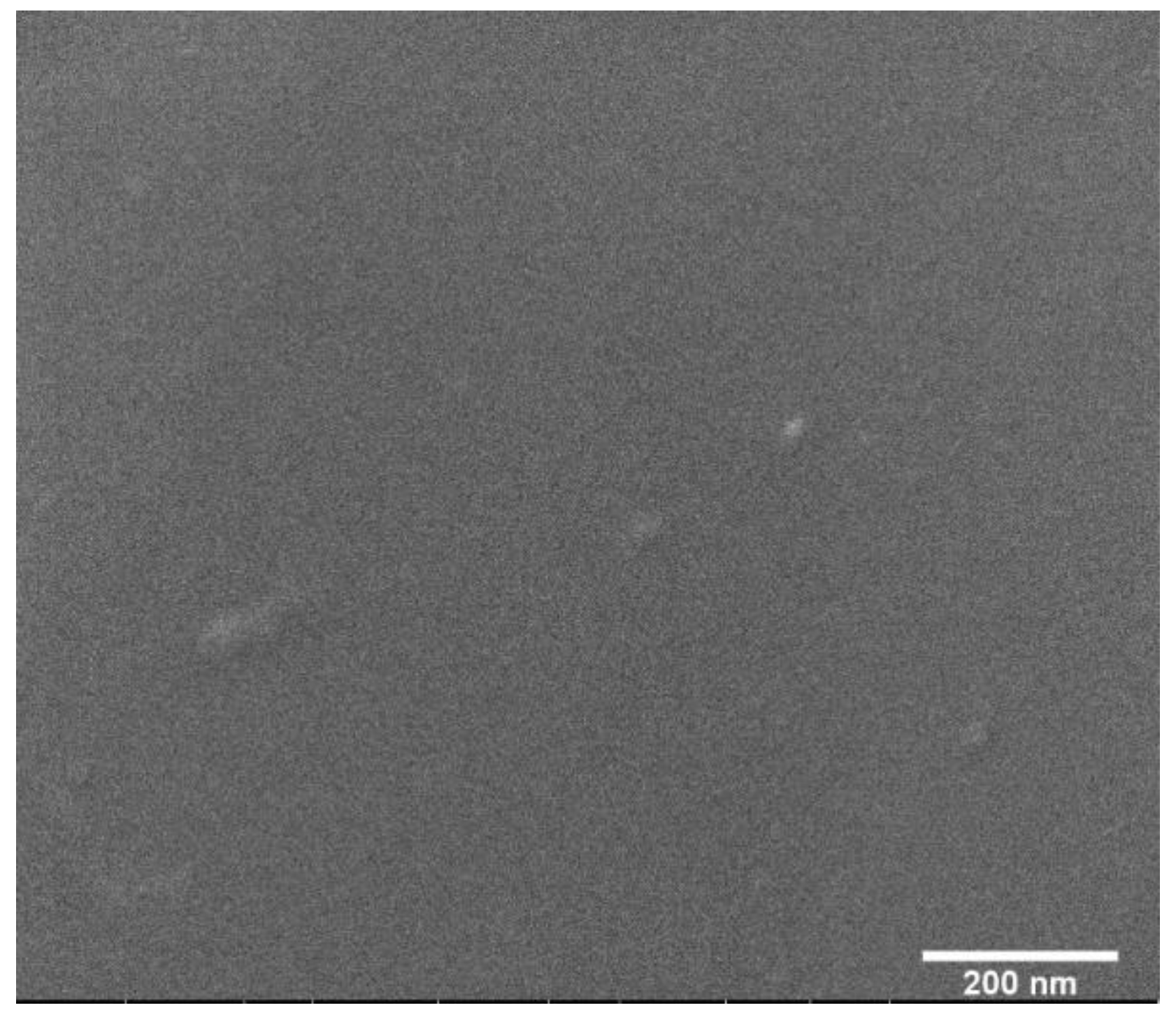 Materproc 04 00003 g002 550