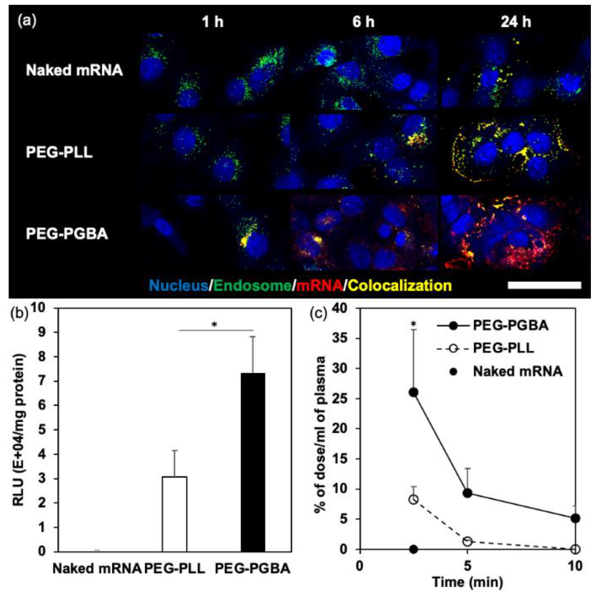 Materproc 04 00005 g001 Materproc 04 00005 g001