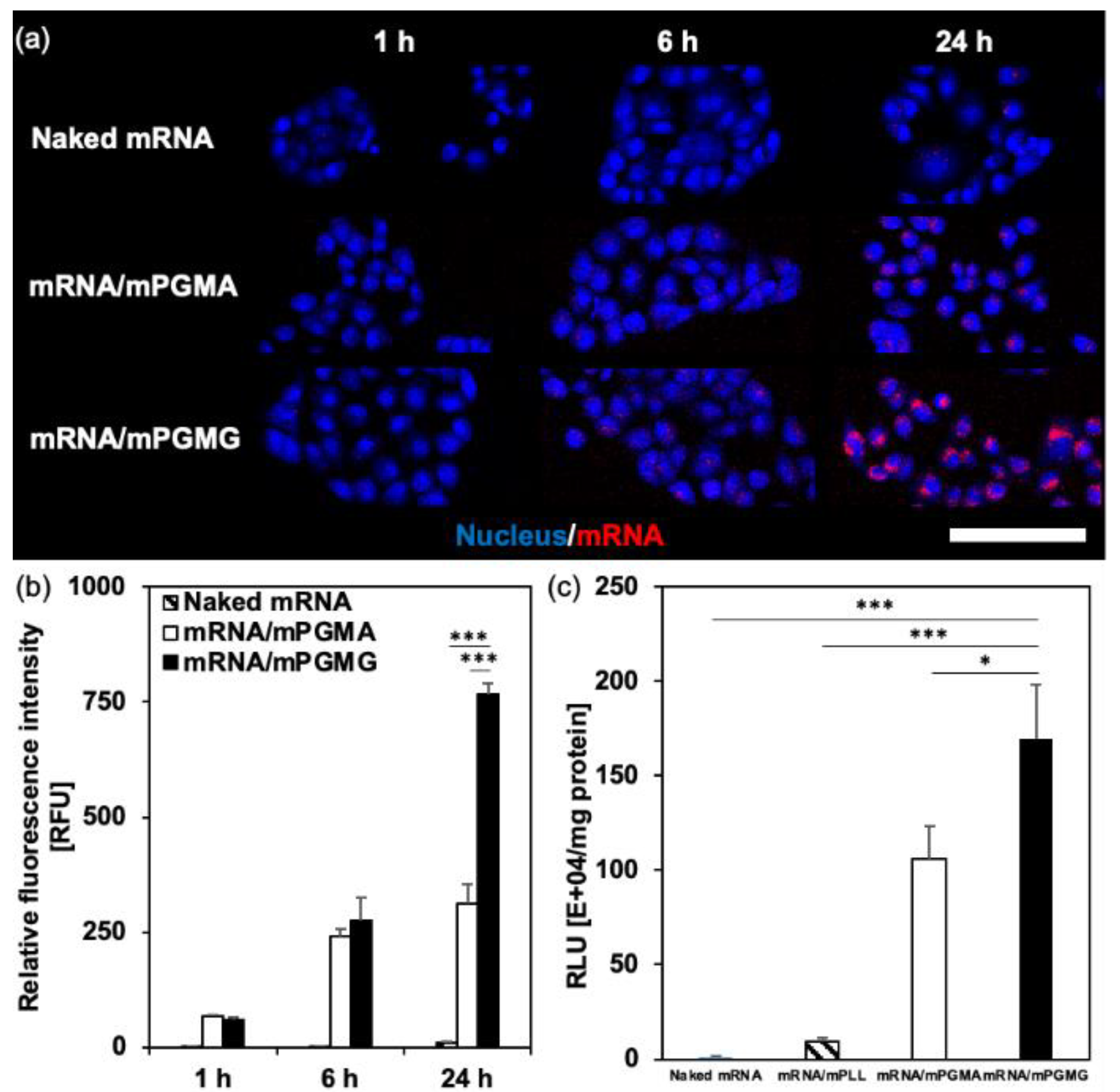 Materproc 04 00005 g002 Materproc 04 00005 g002