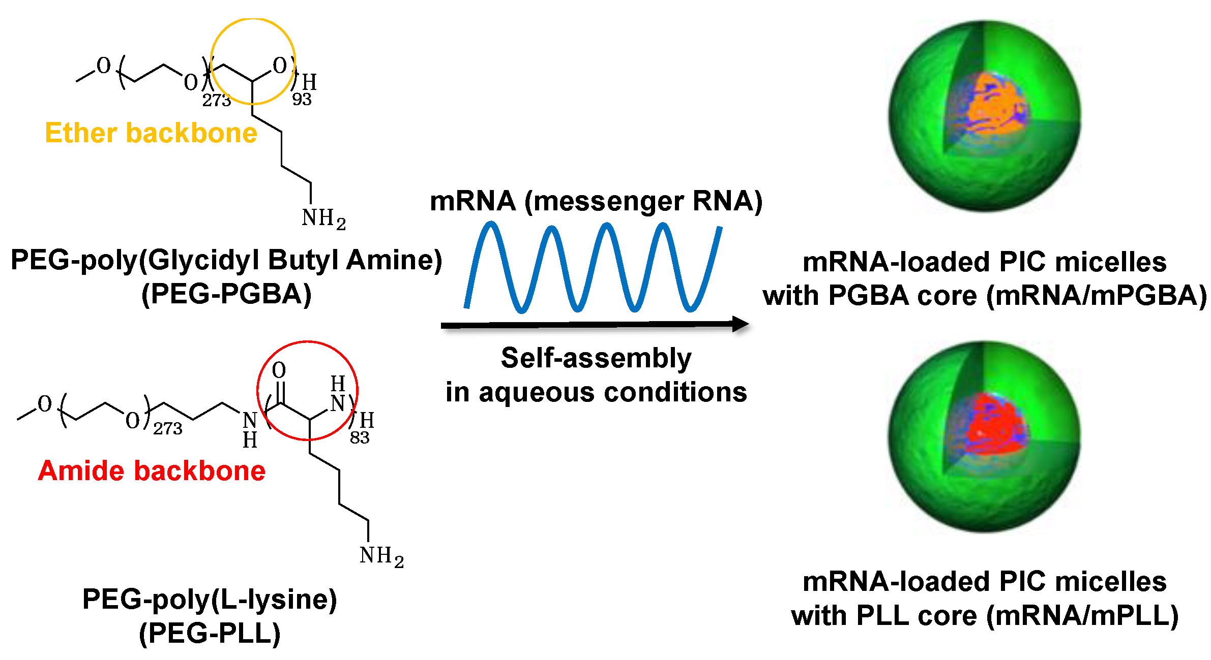 Materproc 04 00005 sch001 Materproc 04 00005 sch001