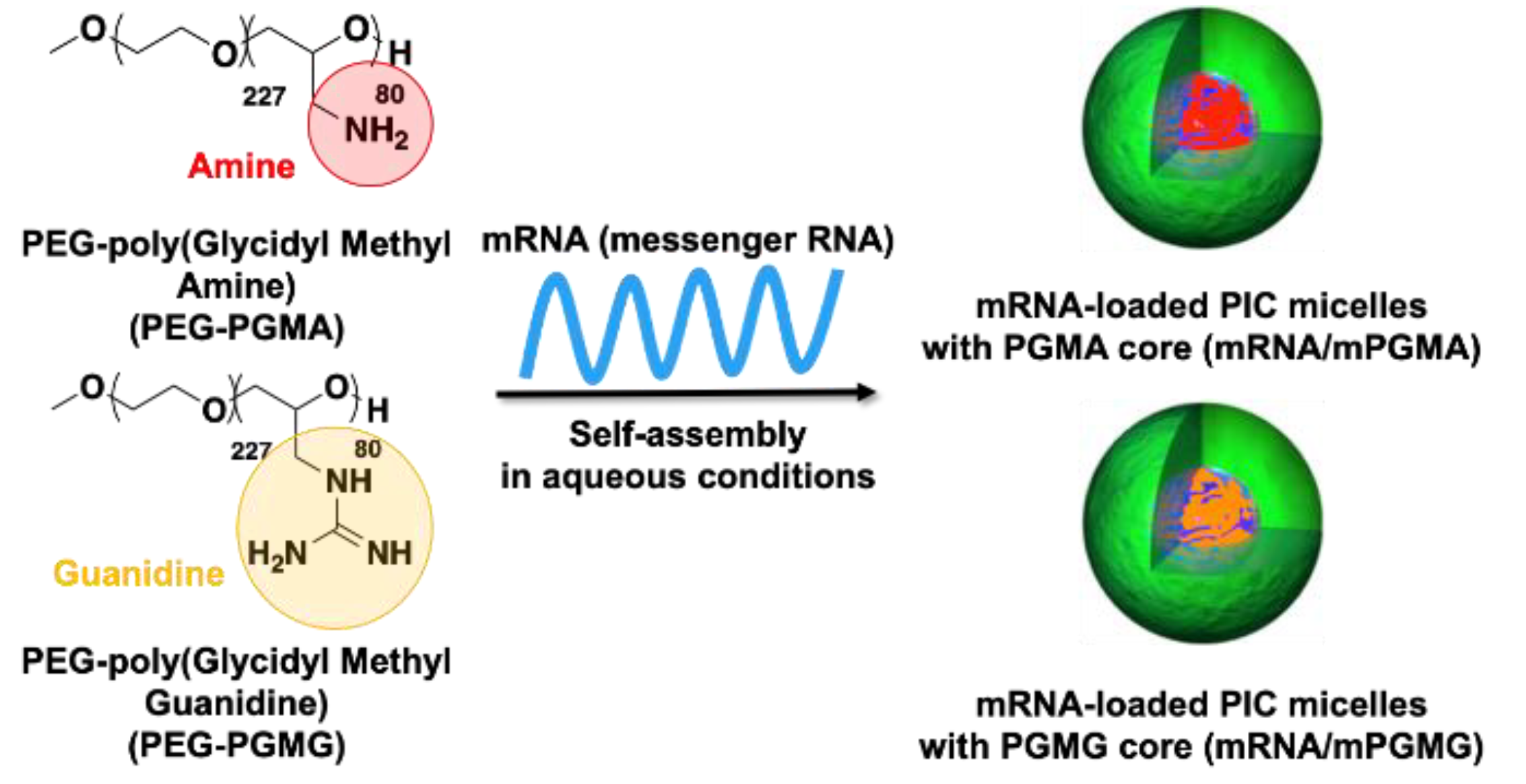 Materproc 04 00005 sch002 Materproc 04 00005 sch002