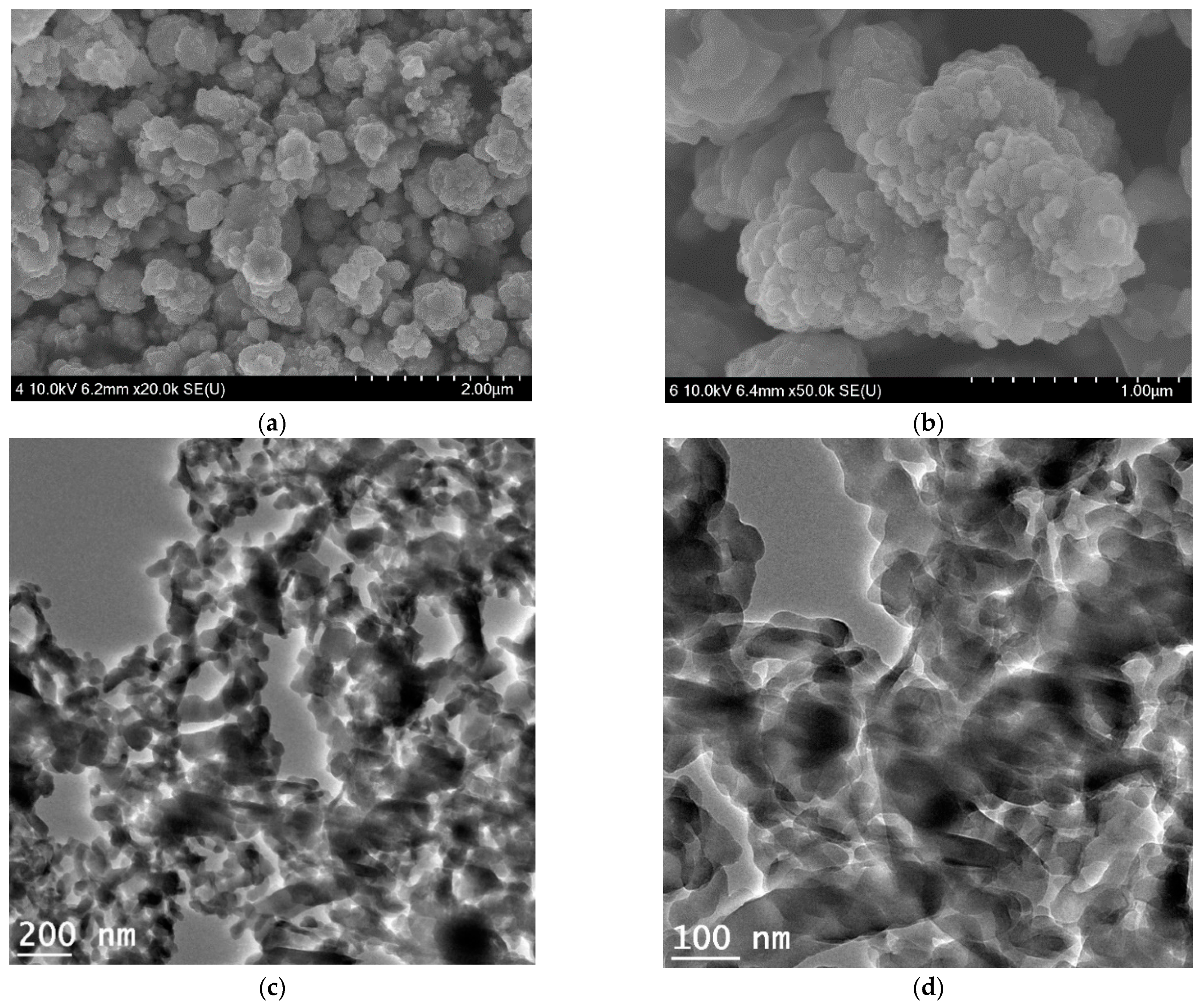 Materproc 04 00018 g002 550