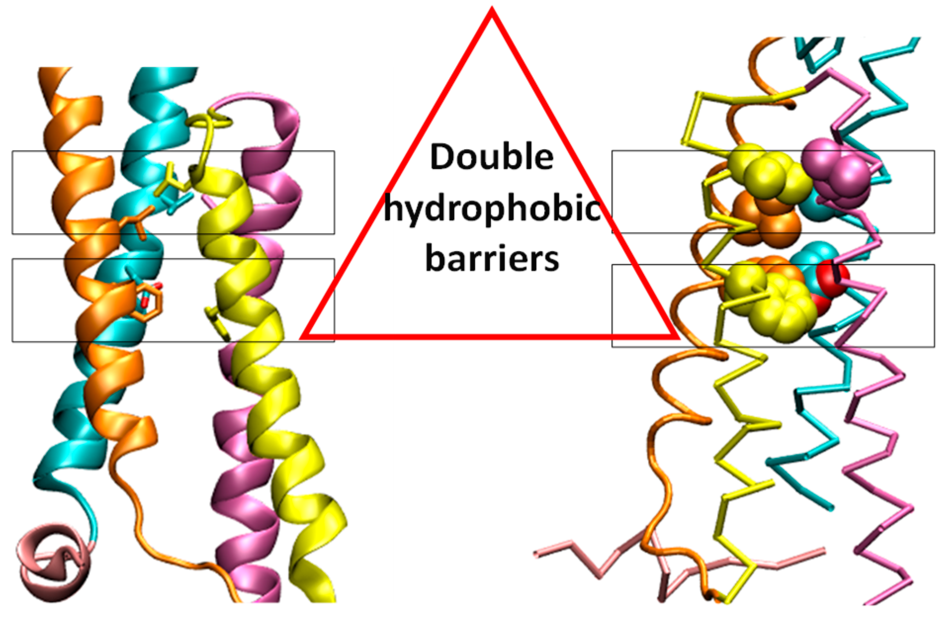 Materproc 04 00020 g001