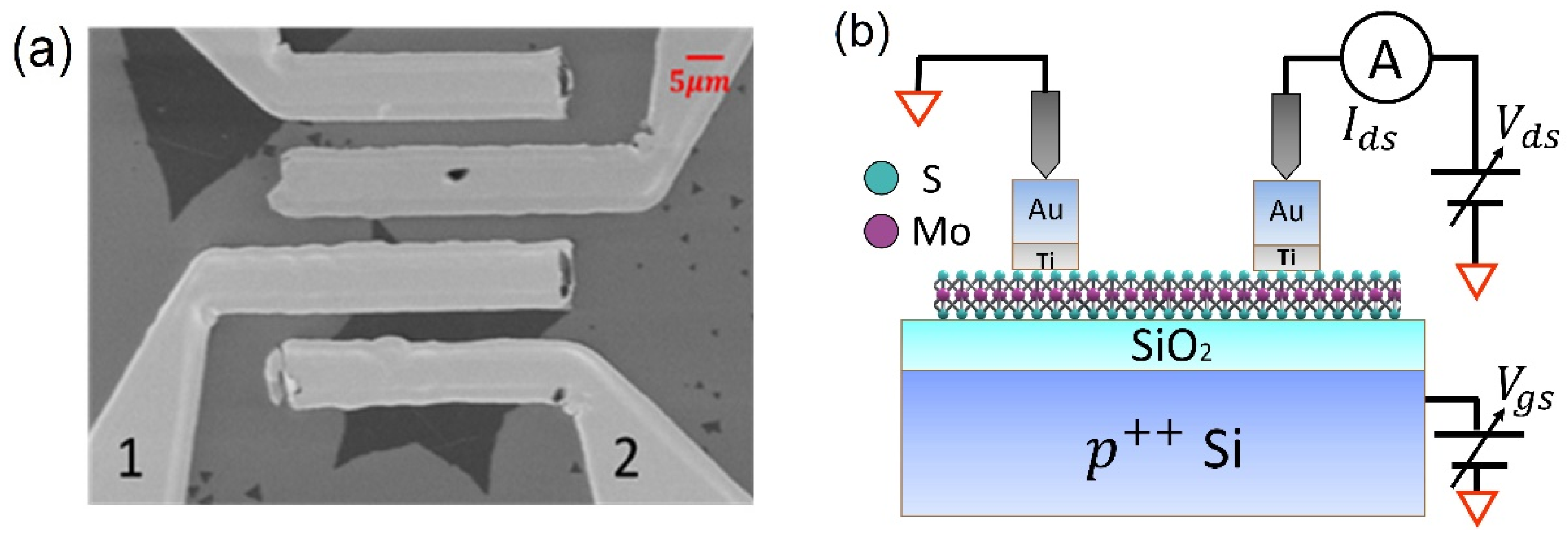 Materproc 04 00025 g001