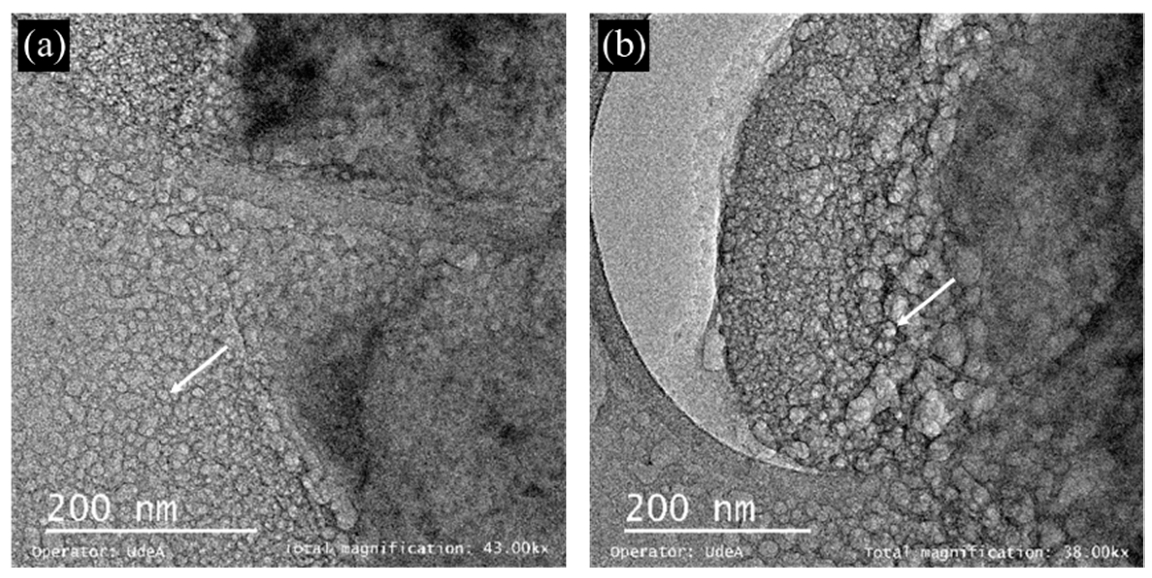 Materproc 04 00030 g003 550