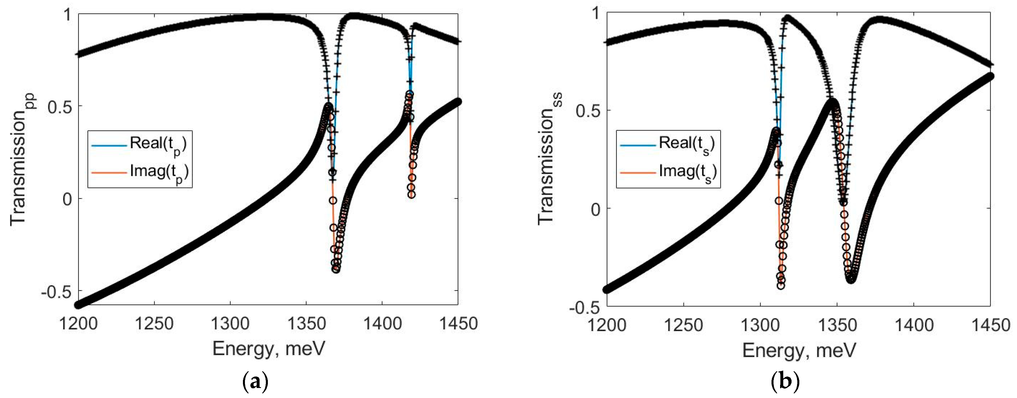 Materproc 04 00034 g003