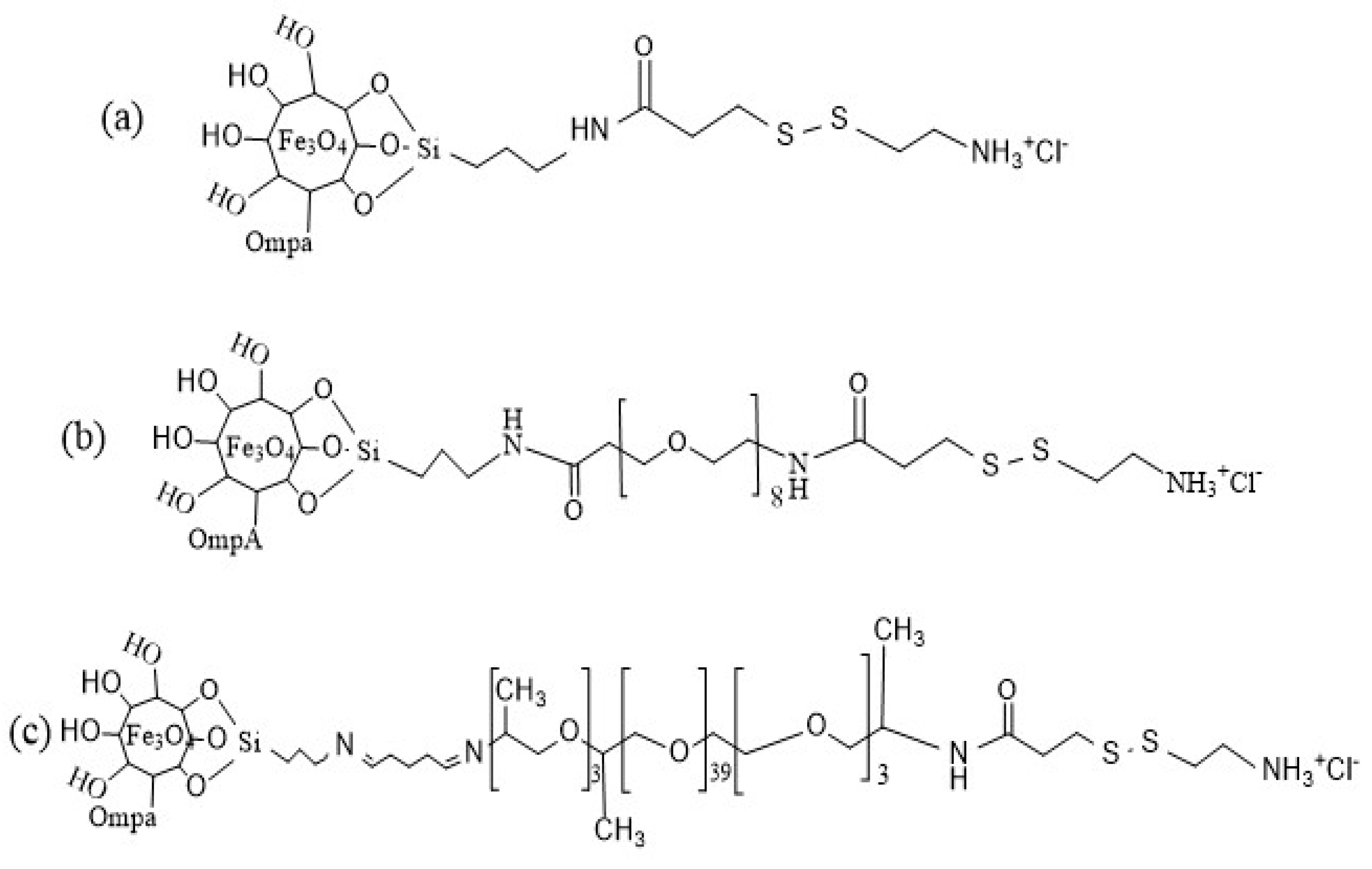 Materproc 04 00036 g001