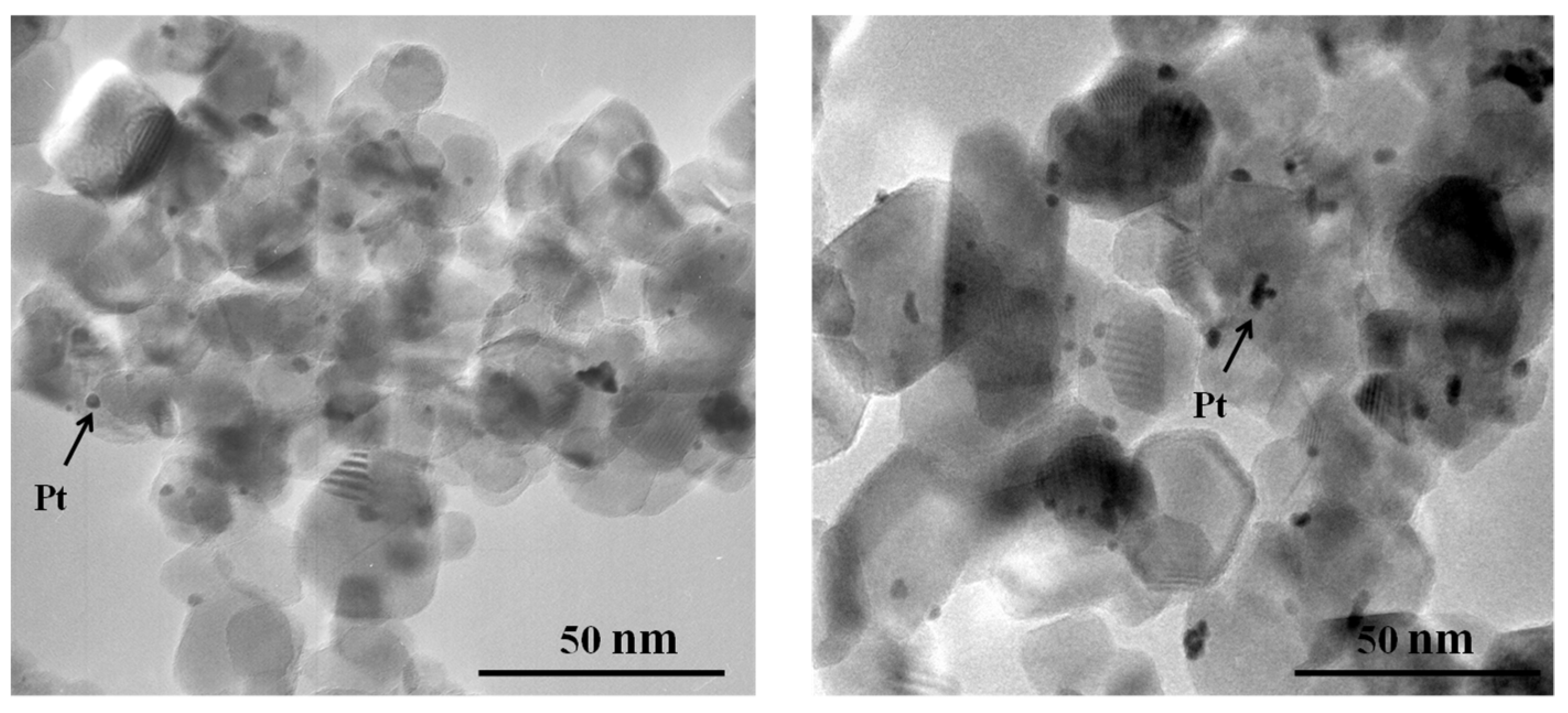 Materproc 04 00037 g001