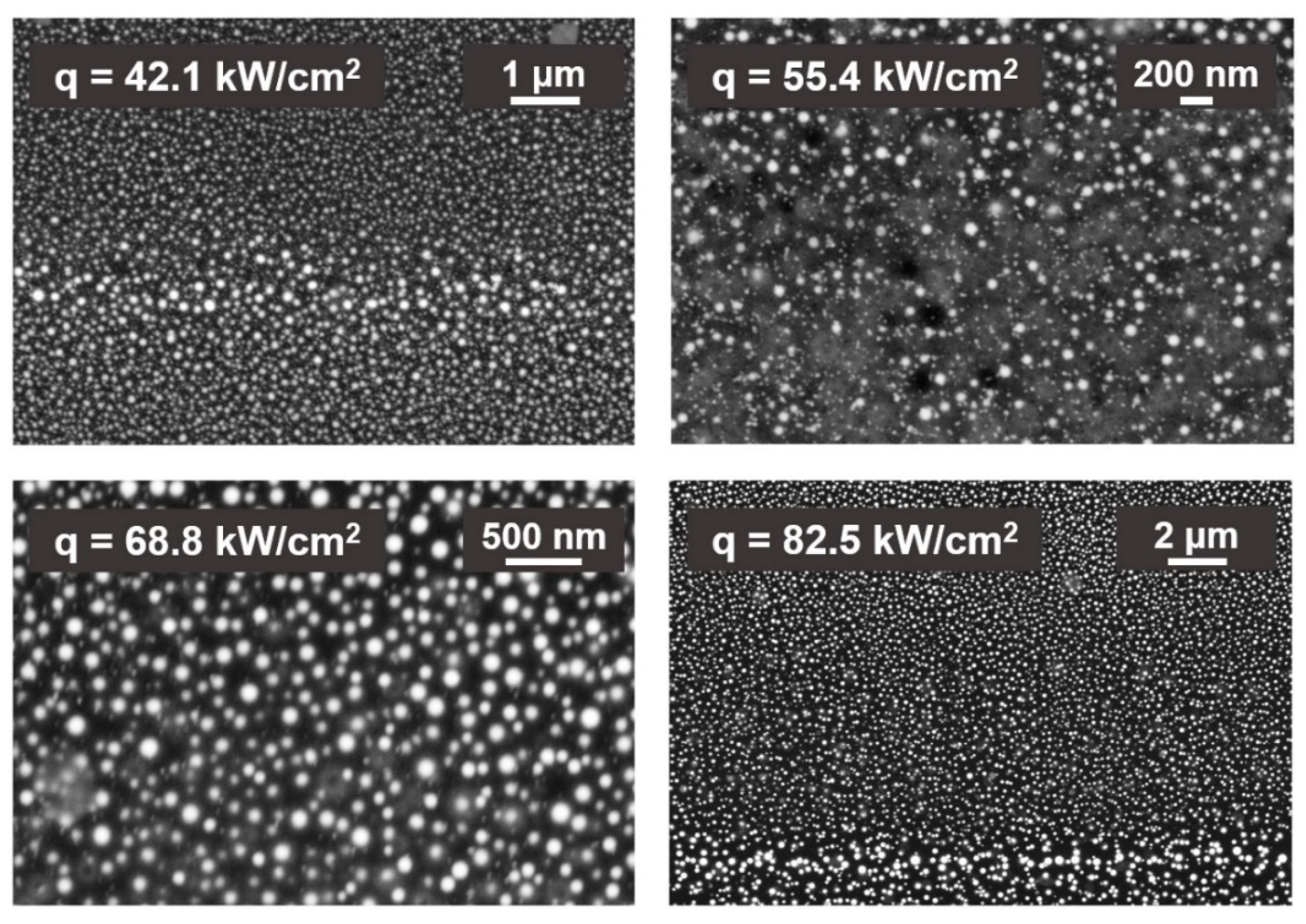 Materproc 04 00050 g003 550